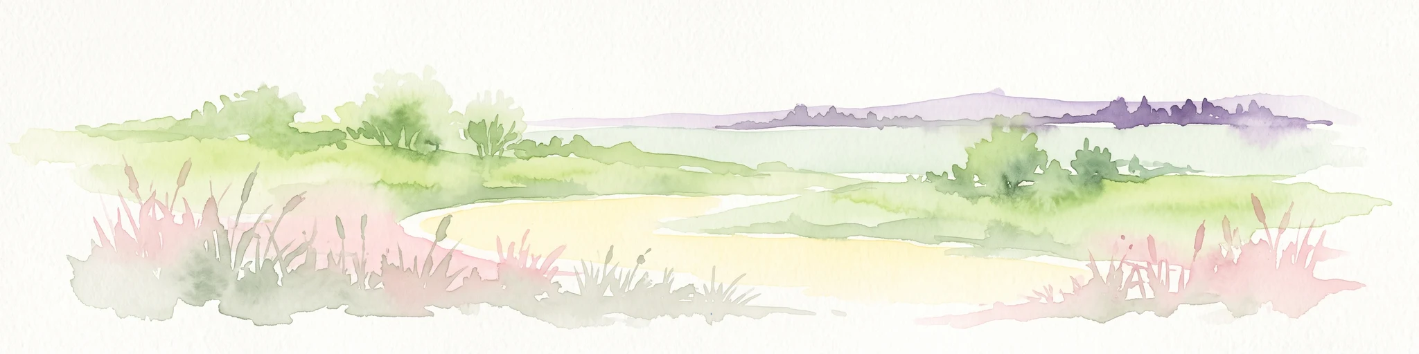 A horizontal watercolor illustration showing a marshy, grassy landscape with soft green and muted pink tones against a white background.
