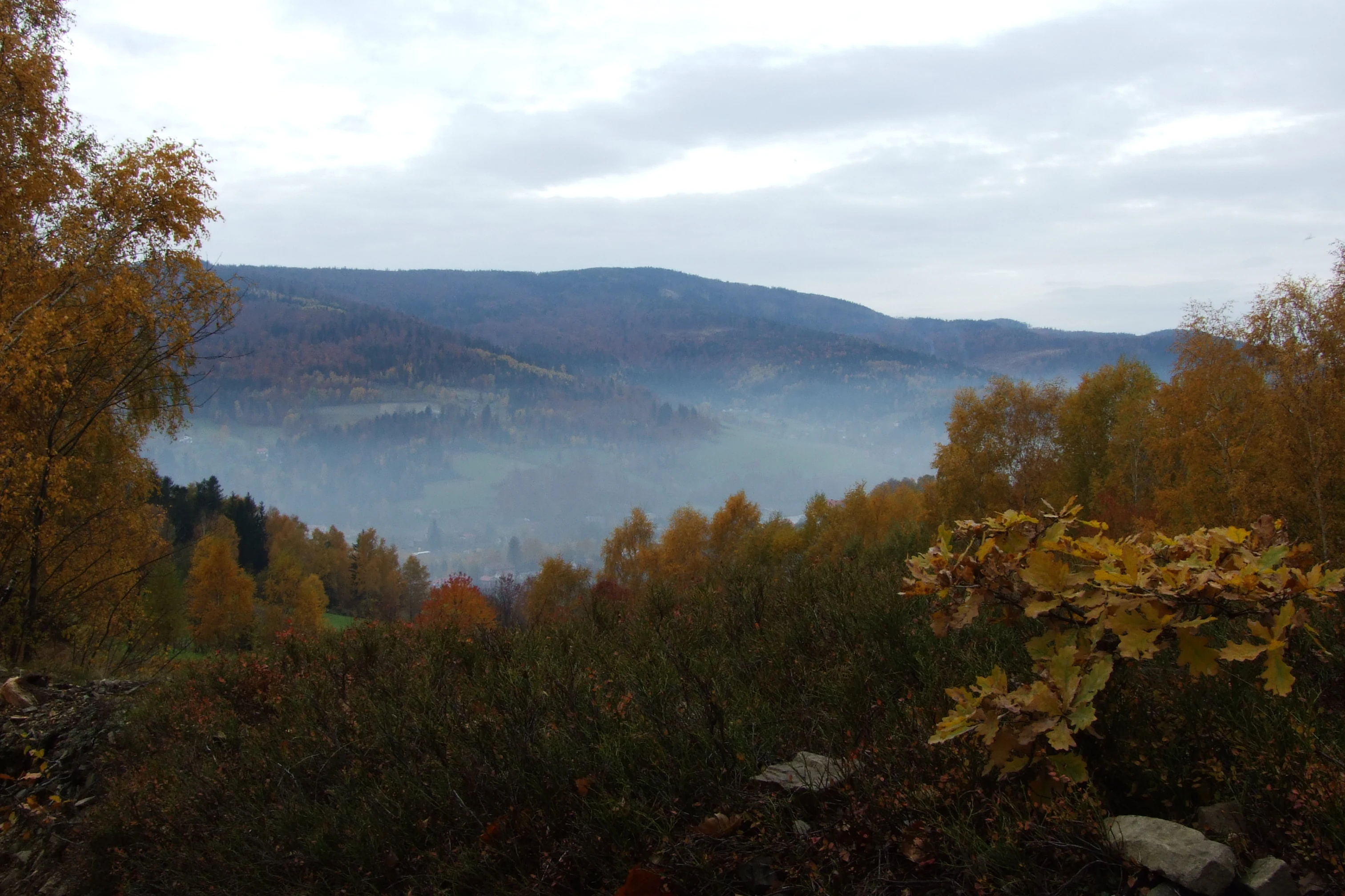 A wide view of rolling forested mountains during autumn, with golden and orange foliage and a misty valley below.