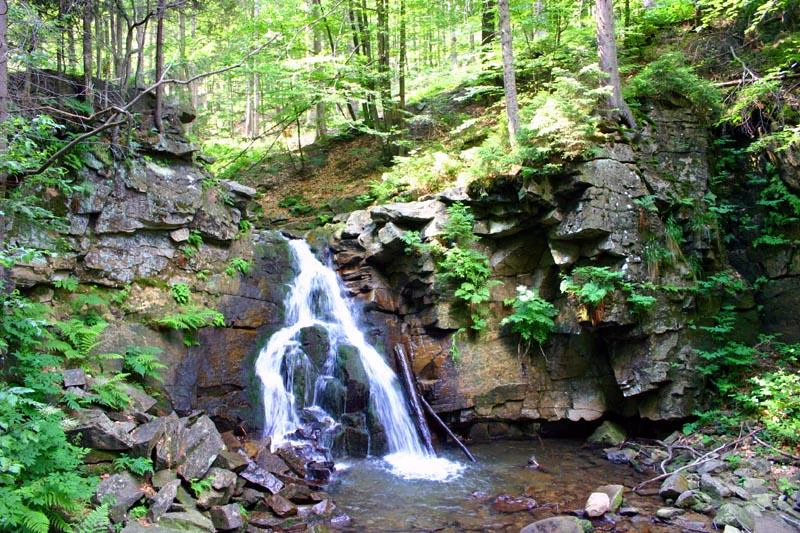 A small waterfall flowing over a rocky ledge into a pool, surrounded by lush green forest vegetation and ferns.