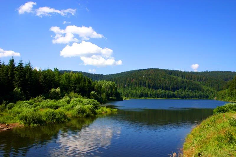 A wide view of a calm, dark blue lake surrounded by dense green pine forests and rolling hills under a bright blue sky with light clouds.