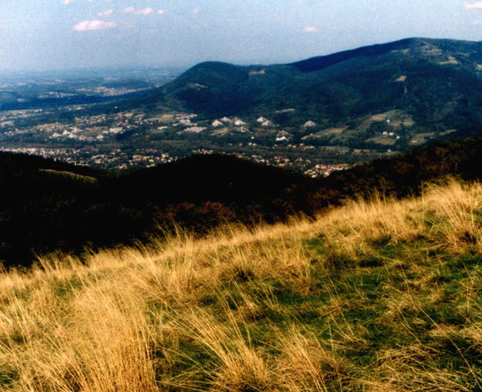 Panoramic view from a grassy mountain slope looking down into a forested valley with a distant mountain ridge under a light sky.