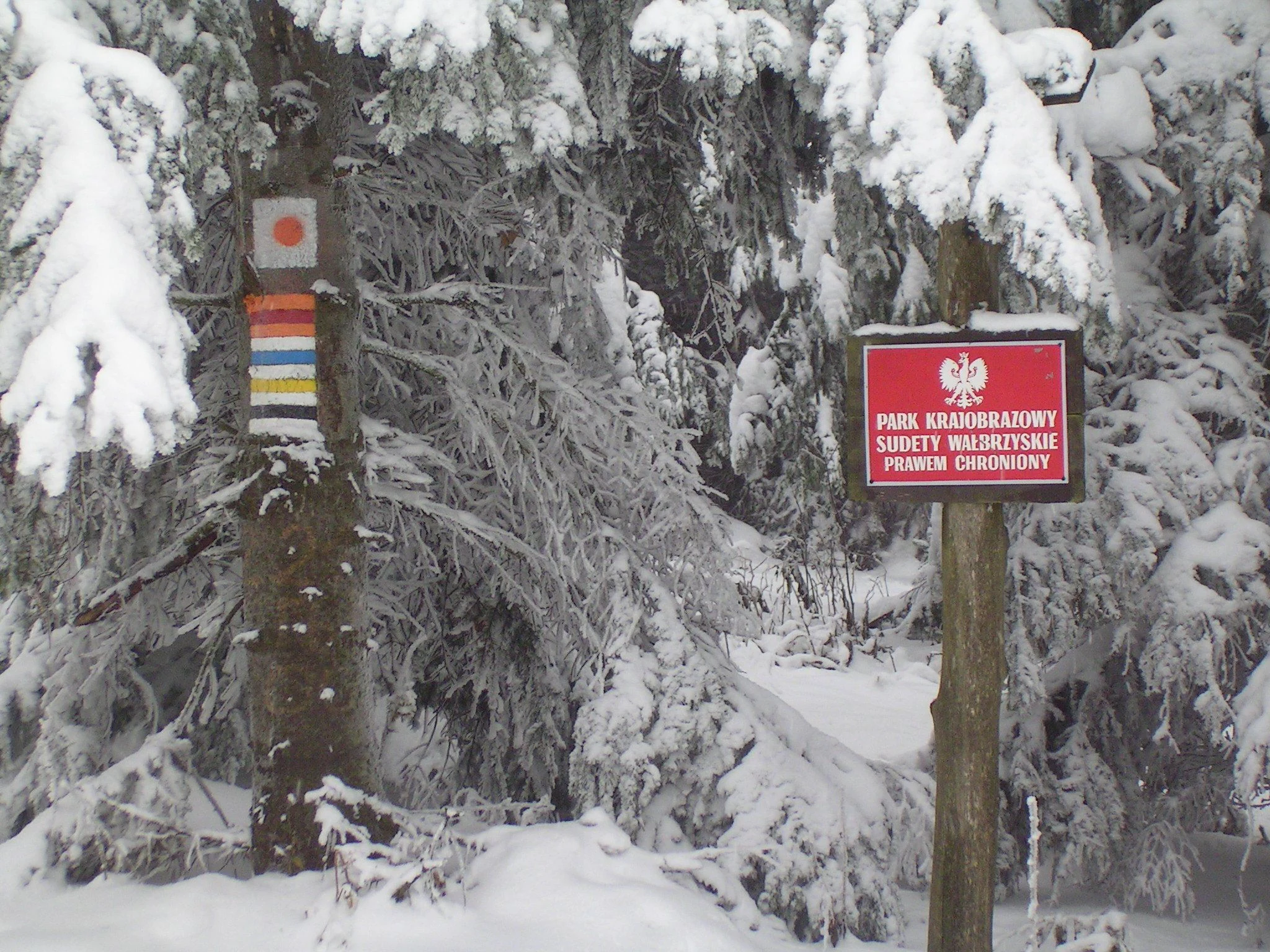 A red park boundary sign with the Polish national emblem and text reading Park Krajobrazowy Sudetów Wałbrzyskich mounted on a wooden post in a snowy forest, with a colorful trail marker on a nearby tree.