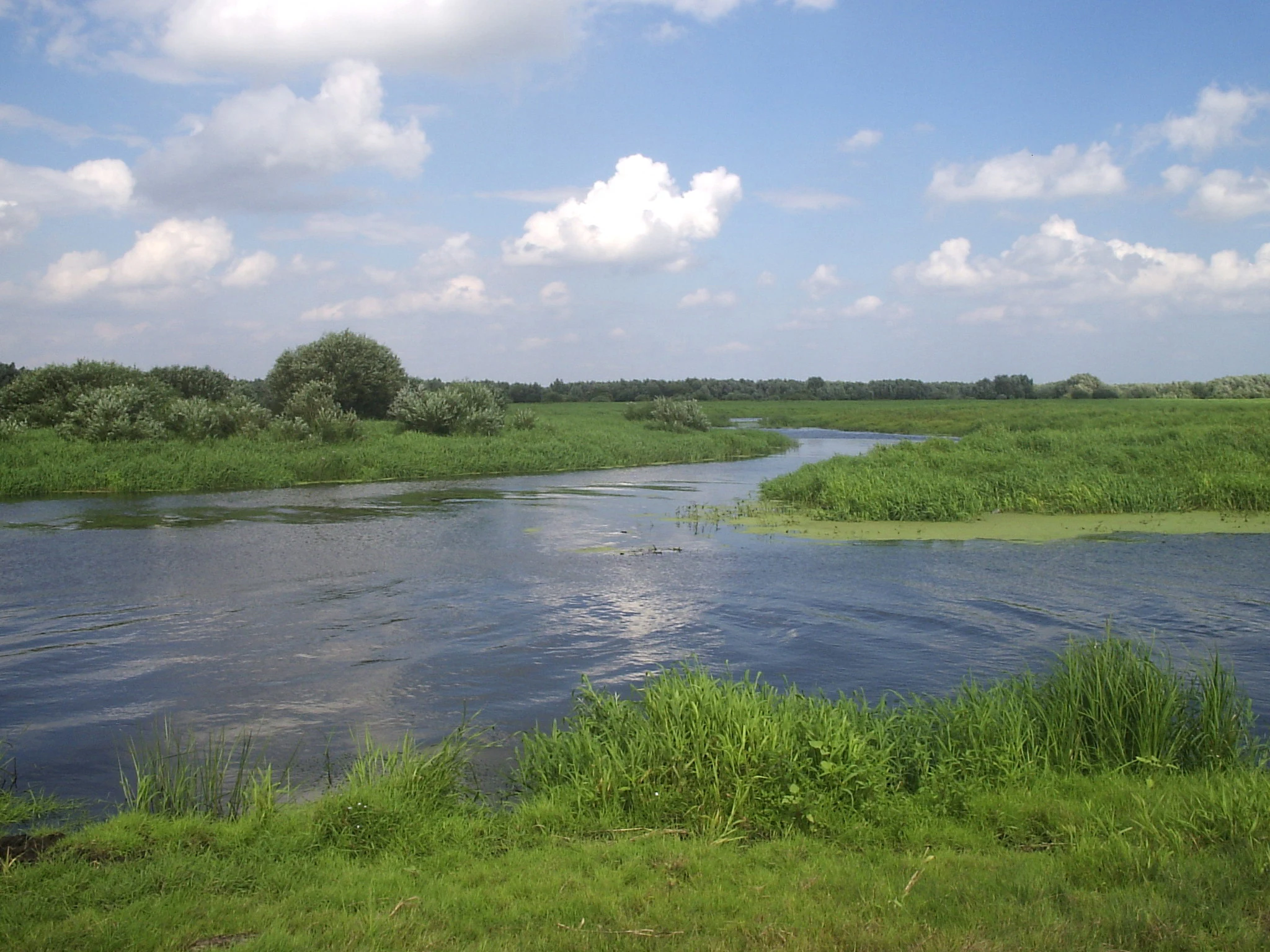 A wide river winding through lush green wetlands and grassy banks under a blue sky with white clouds.