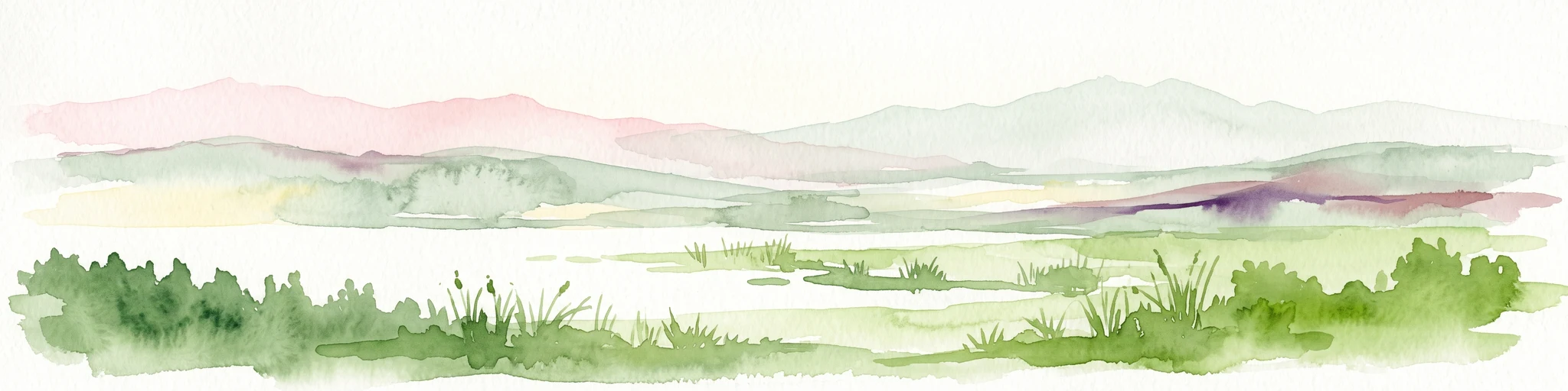 Watercolor painting depicting a flat wetland landscape with green grasses in the foreground and soft purple and green rolling hills in the background under a pale sky.