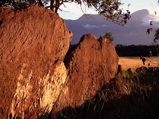 A close view of large, textured brown rock formations in the foreground, with a golden-lit field and a hazy, dark mountain silhouette in the background.