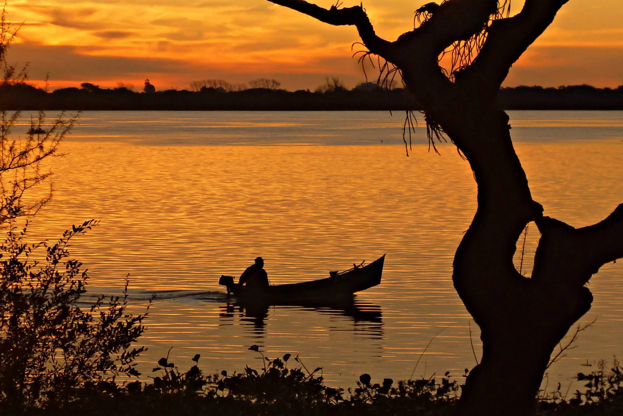 A silhouetted fisherman in a small motorboat travels across a calm river at sunset, framed by a large tree in the foreground.