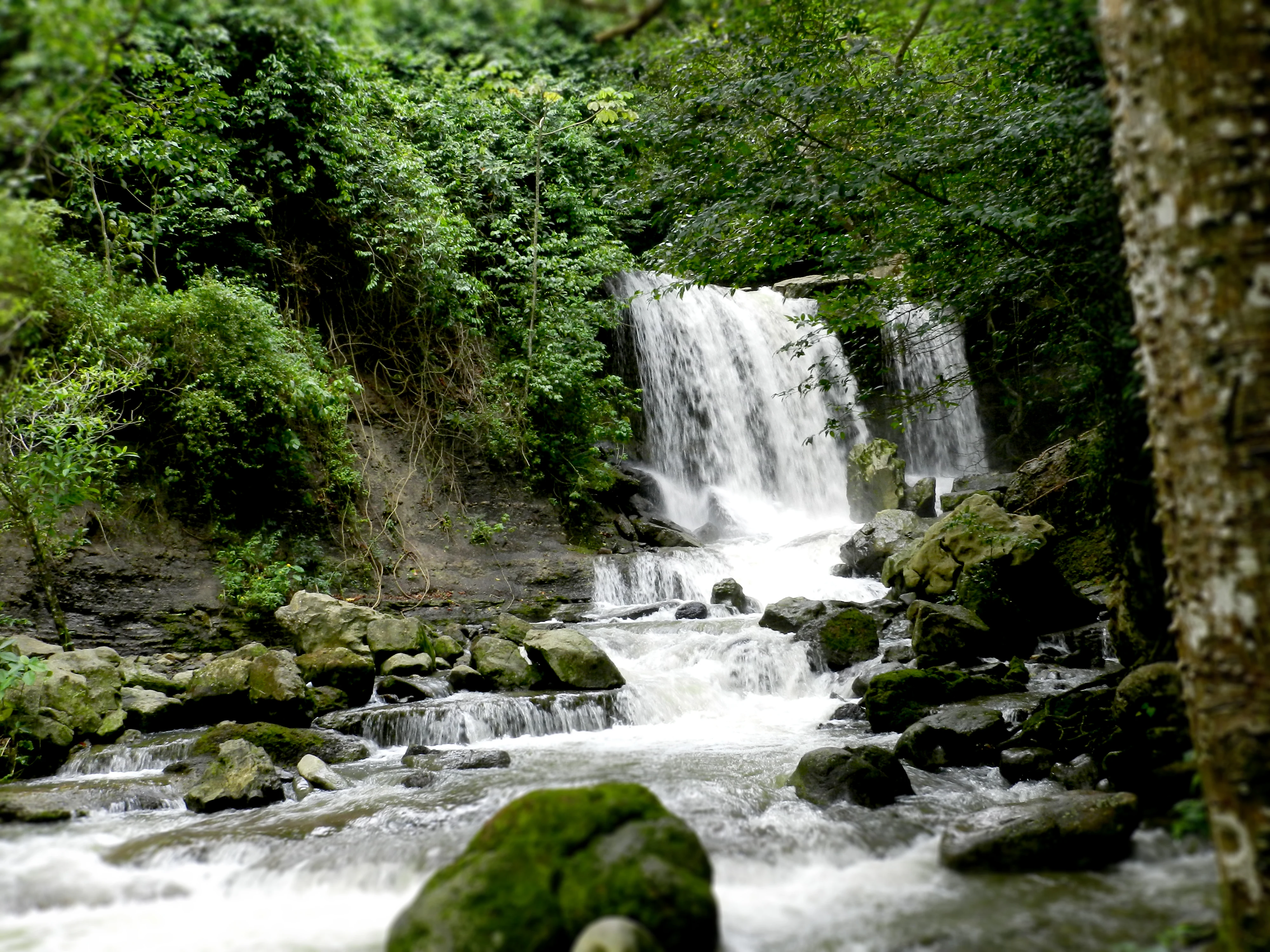 A multi-tiered waterfall cascades over mossy rocks into a stream within a dense green forest.