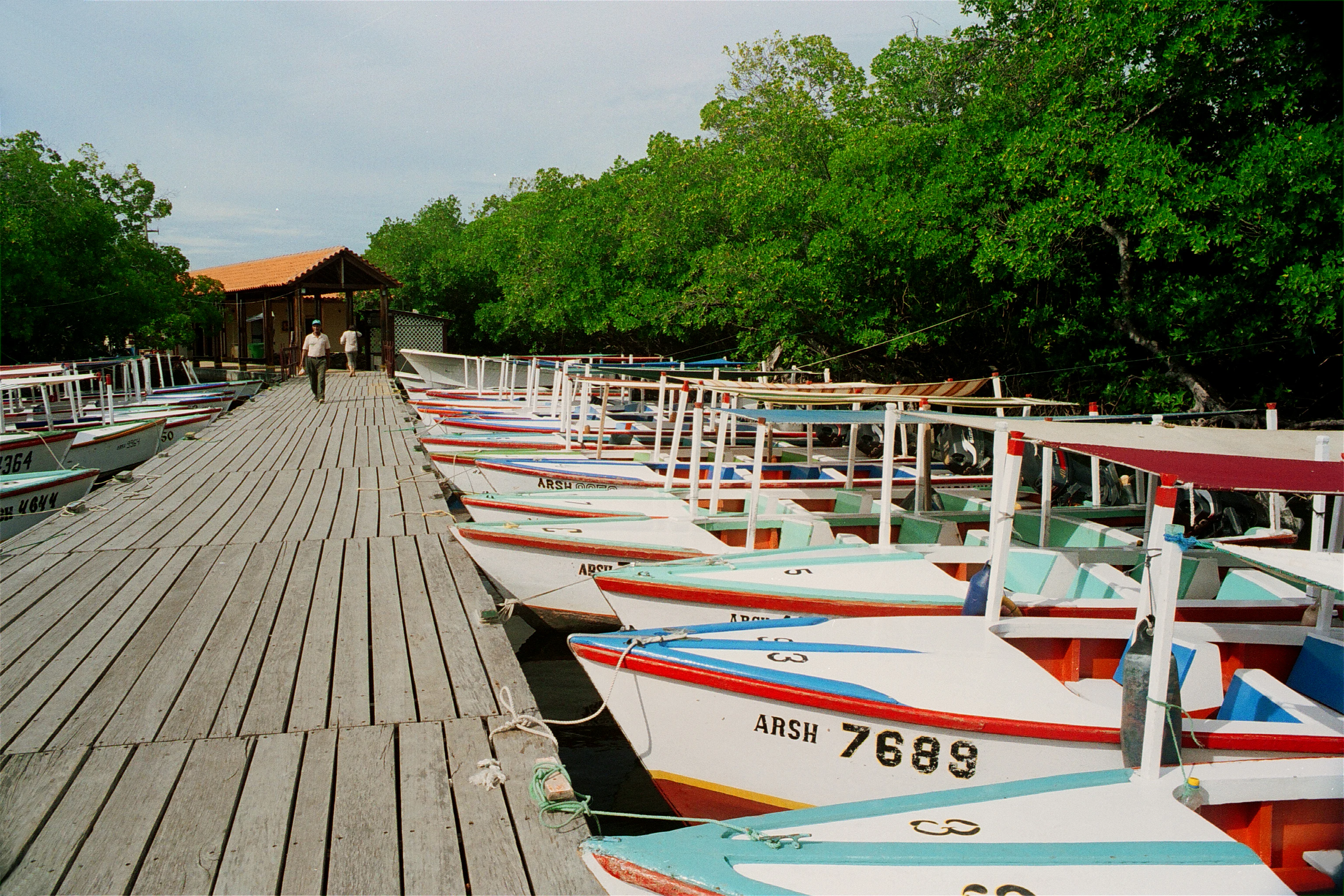 A long wooden pier stretching into the distance at Laguna de La Restinga National Park, with a row of small, brightly painted motorboats moored alongside it under the shade of dense mangrove trees.