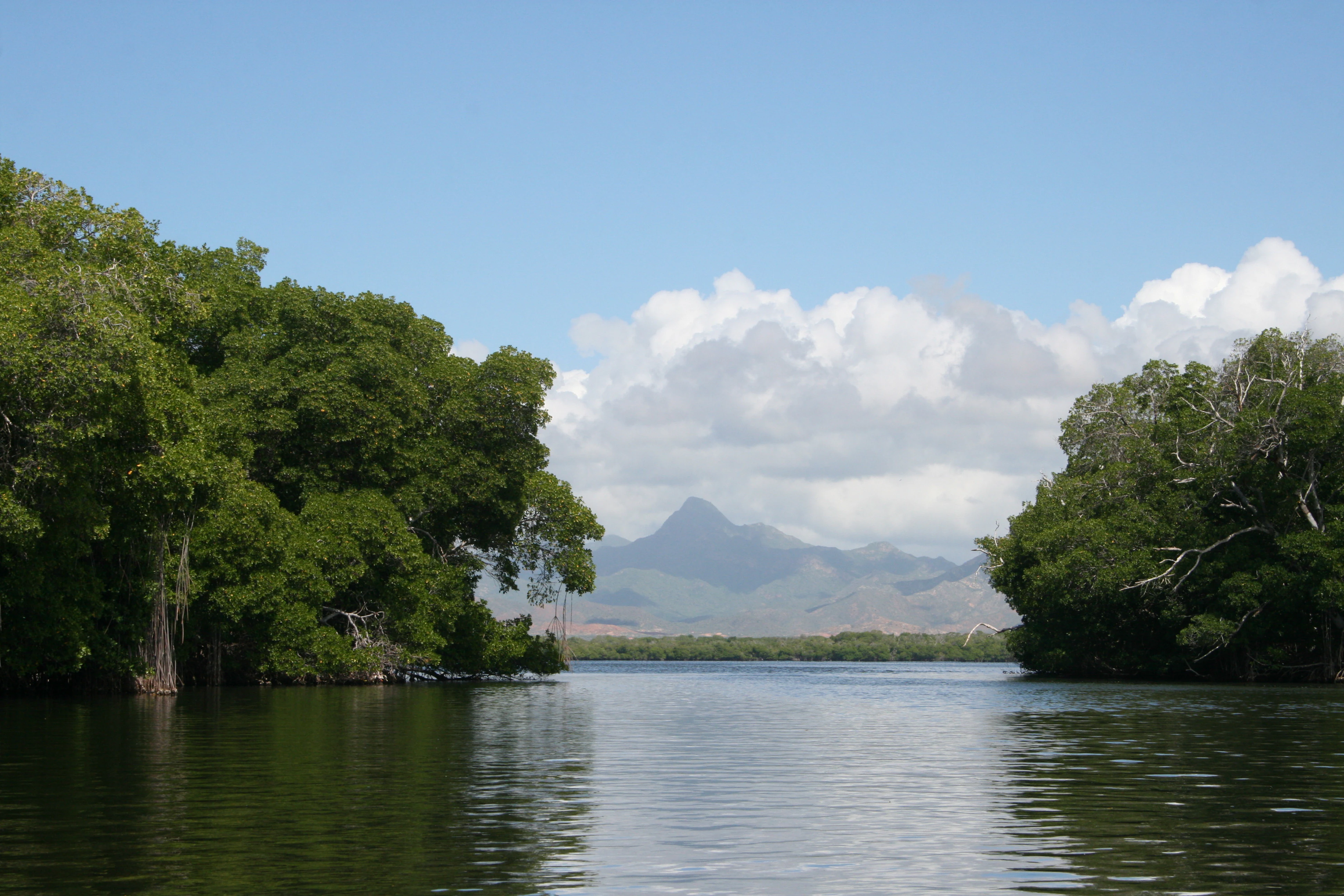 A calm, wide, coastal lagoon lined with dense green mangrove forests on both sides, with hazy mountains visible in the distance under a blue sky with fluffy white clouds.