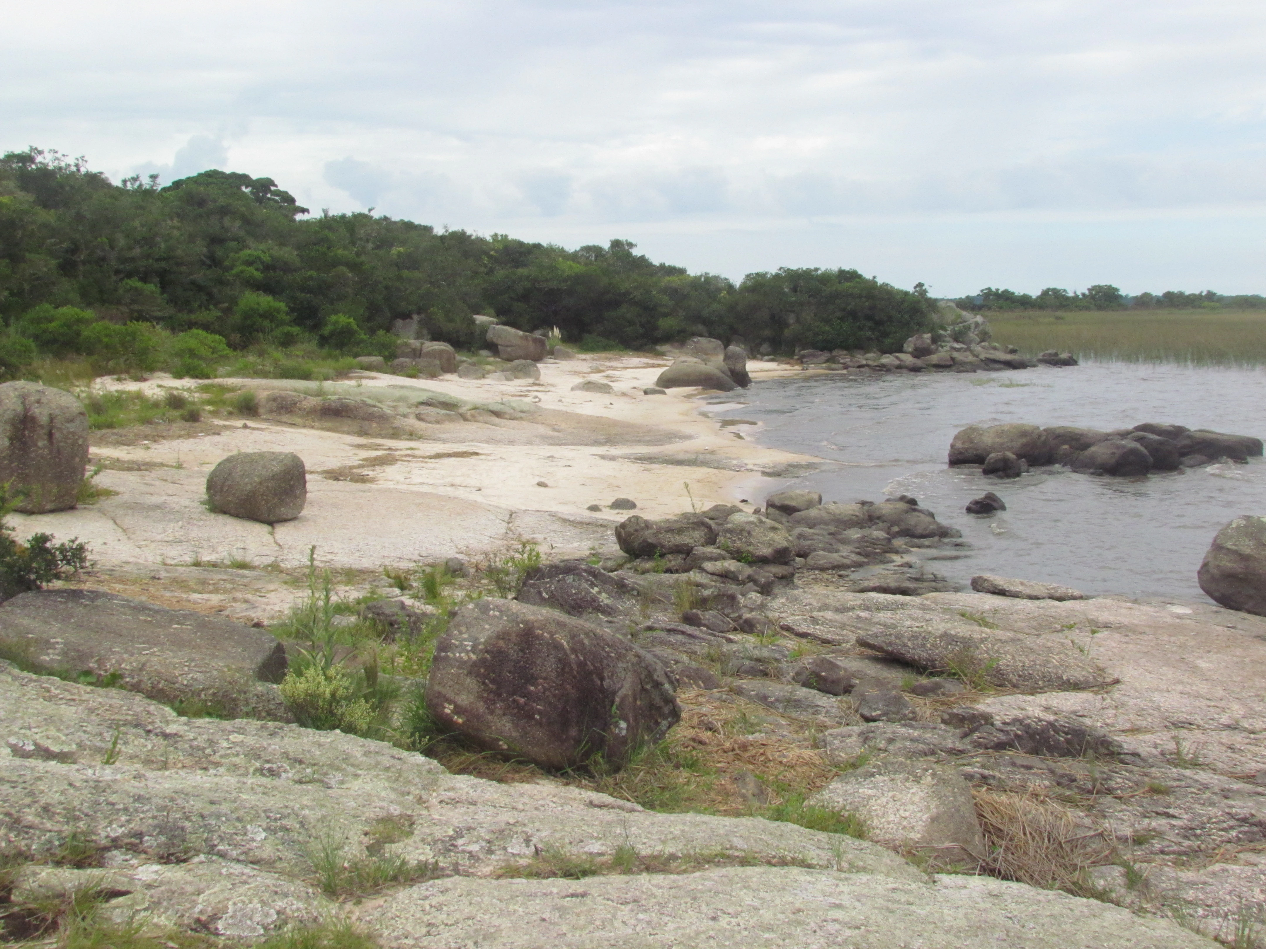 A wide shot showing the rocky, light-colored shoreline of a lake with dark water, bordered by native shrubbery and trees under an overcast sky.