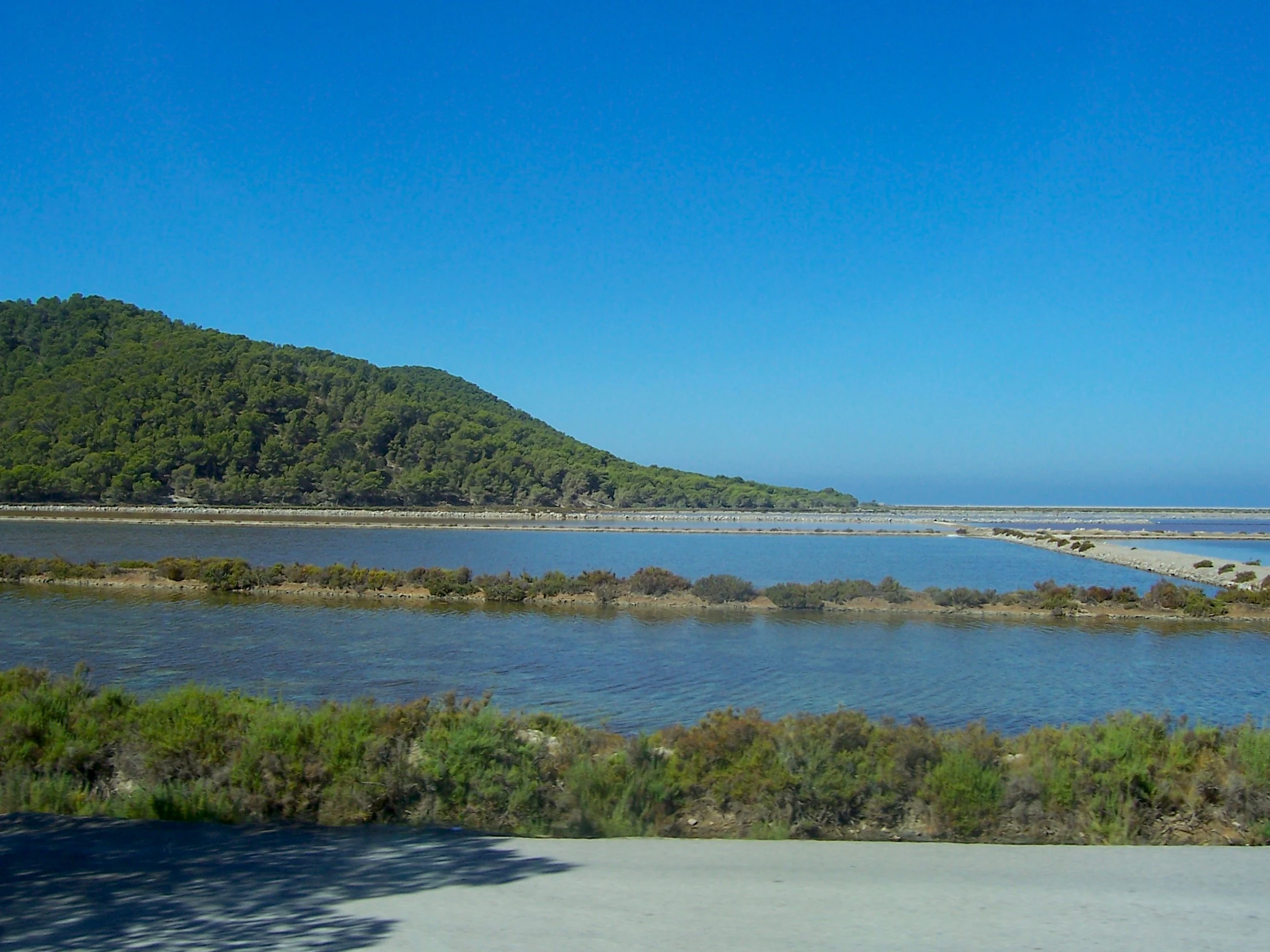 A wide view of calm, shallow salt ponds reflecting the clear blue sky, bordered by low shrubs and a green, tree-covered hillside in the background.