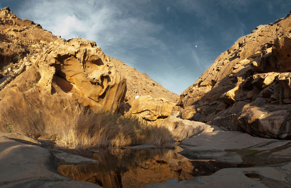 A desert landscape featuring large, weathered sandstone rock formations surrounding a small, reflective pool of water with tall, dry grasses growing near the edge under a cloudy sky.