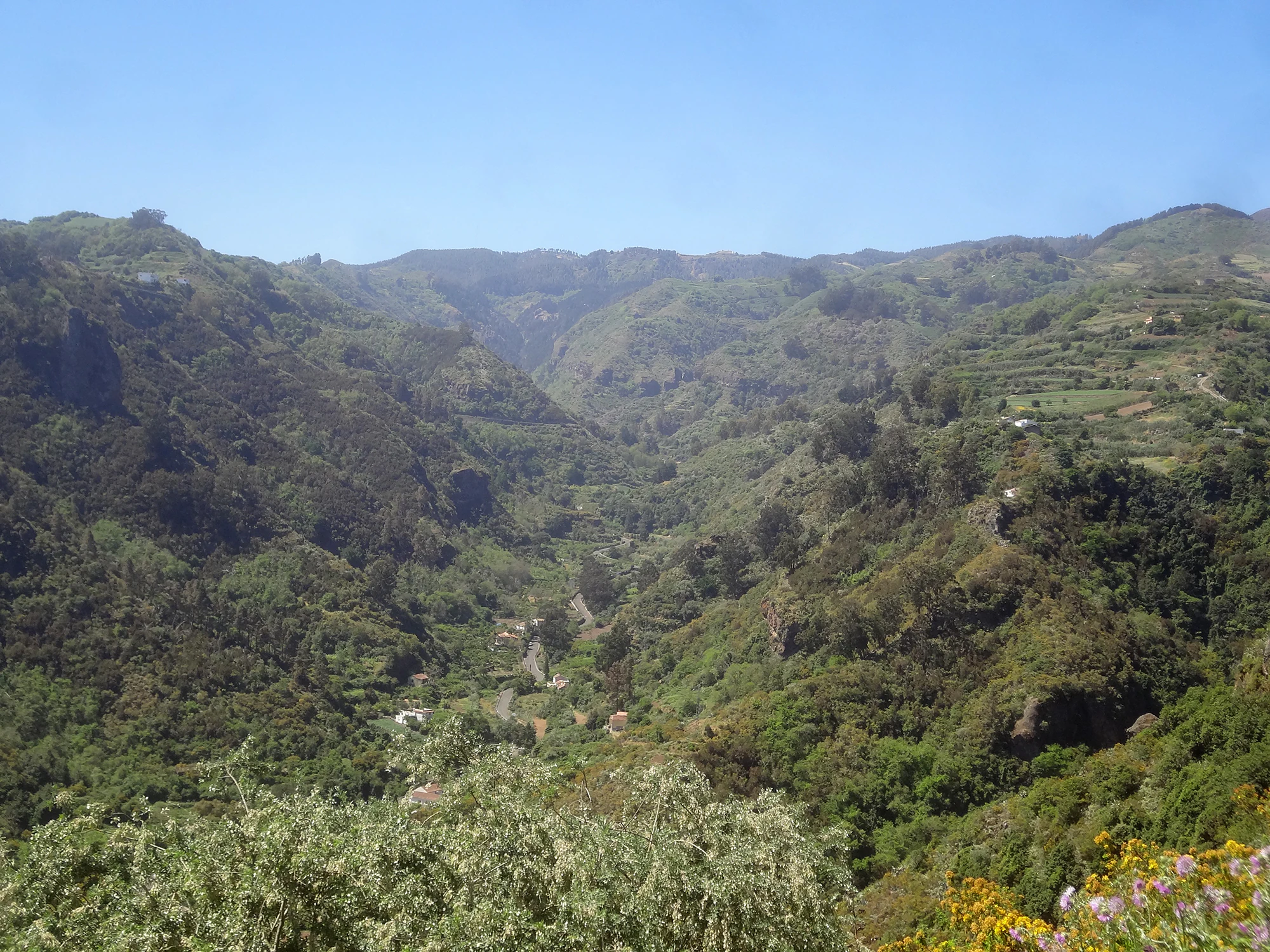 A wide, panoramic view of a deep, green, forested ravine in the Valleseco area of Gran Canaria, with steep terraced slopes and distant rolling mountains under a clear blue sky.