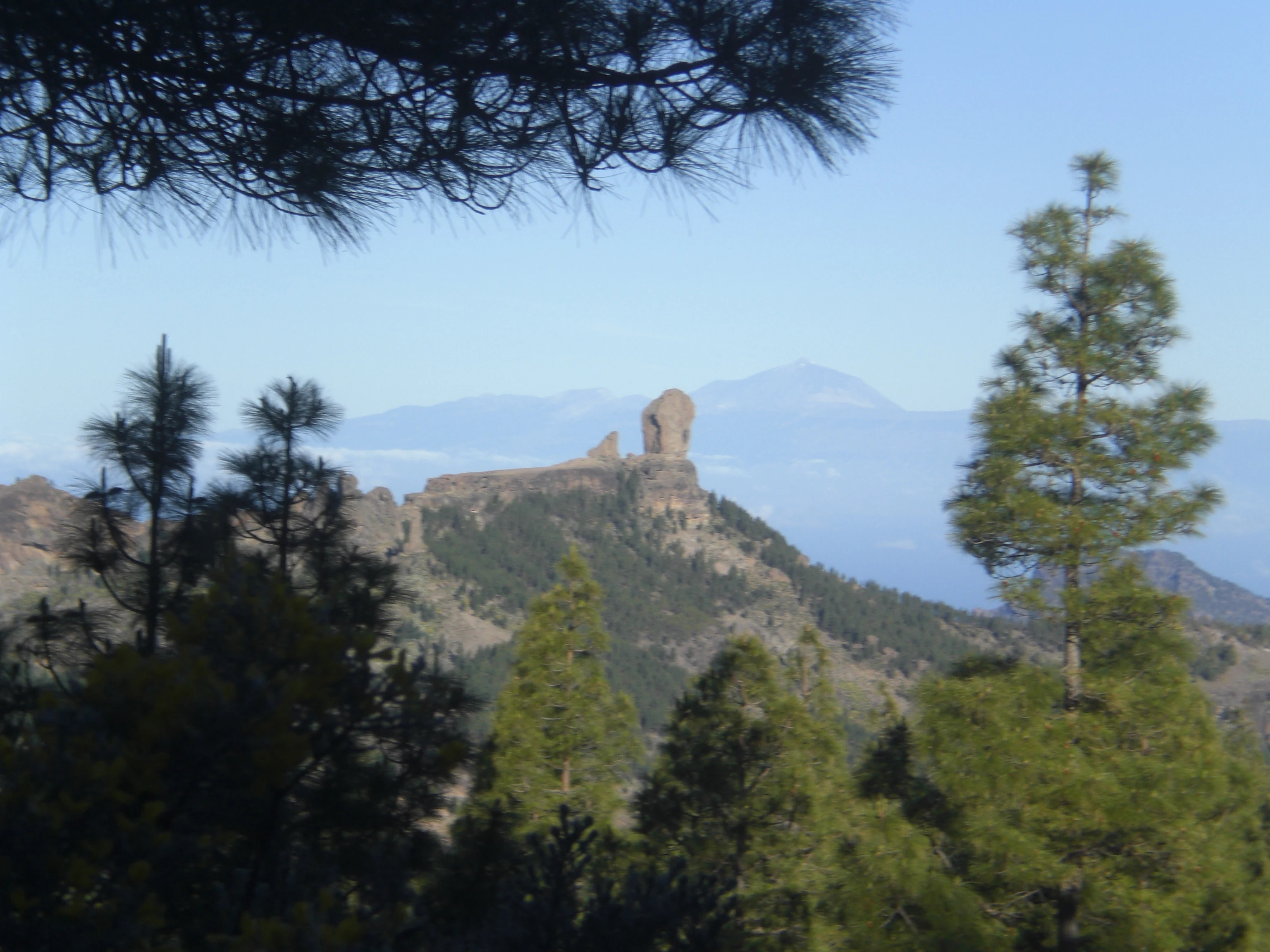 A distant view of the Roque Nublo monolith standing on a rocky ridge, framed by foreground pine trees with a faint mountain peak in the distance.