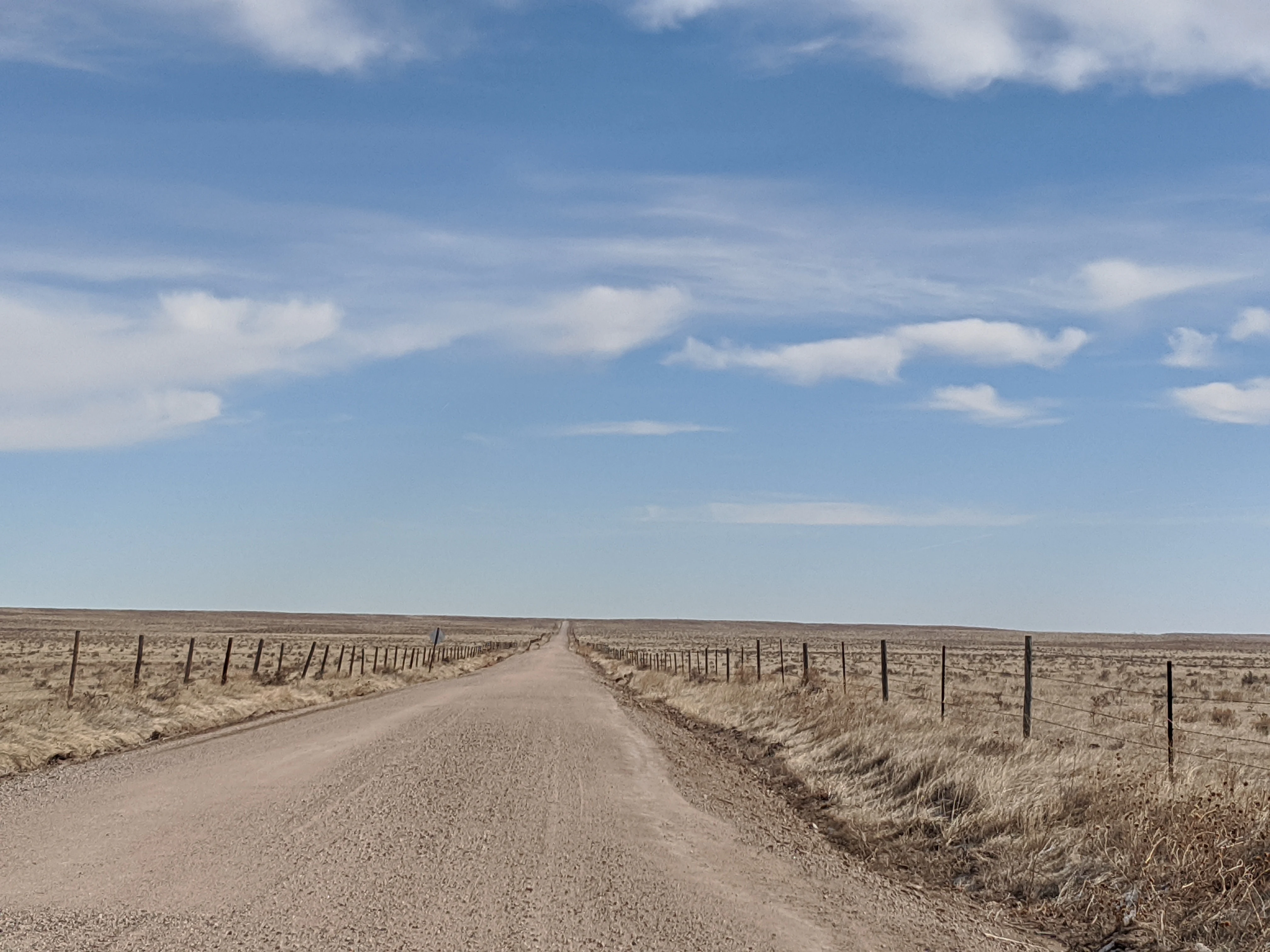 A wide, unpaved gravel road leads into the distance through a vast, flat, dry grassland bordered by wire fences under a clear blue sky with light clouds.