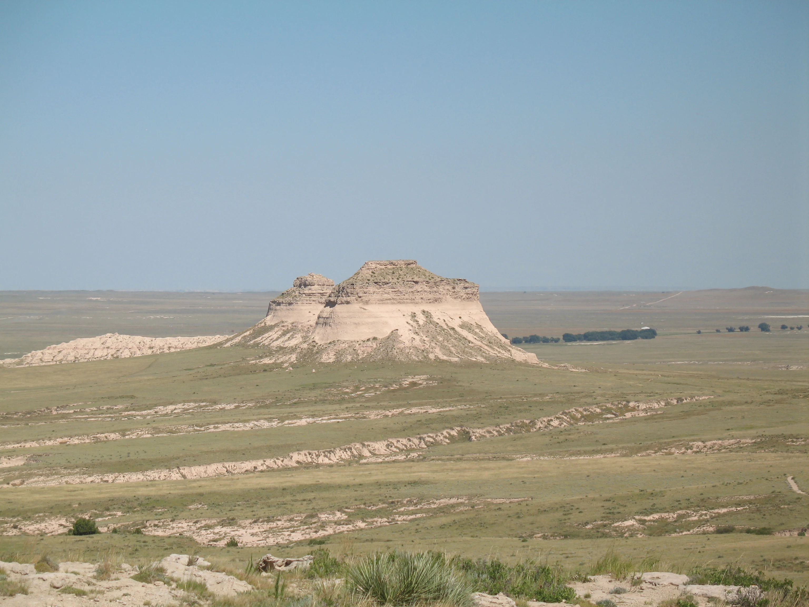 A wide view of the Pawnee Buttes, which are two prominent, light-colored geological rock formations rising from a flat, grassy landscape under a clear blue sky.