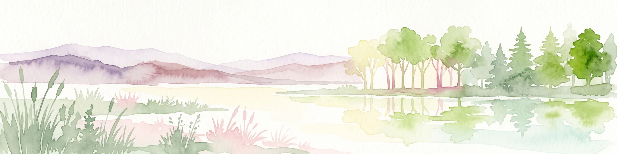 Watercolor painting of a peaceful wetland scene with cattails in the foreground, calm reflective water, a dense tree line on the right, and soft, rolling hills in the background.