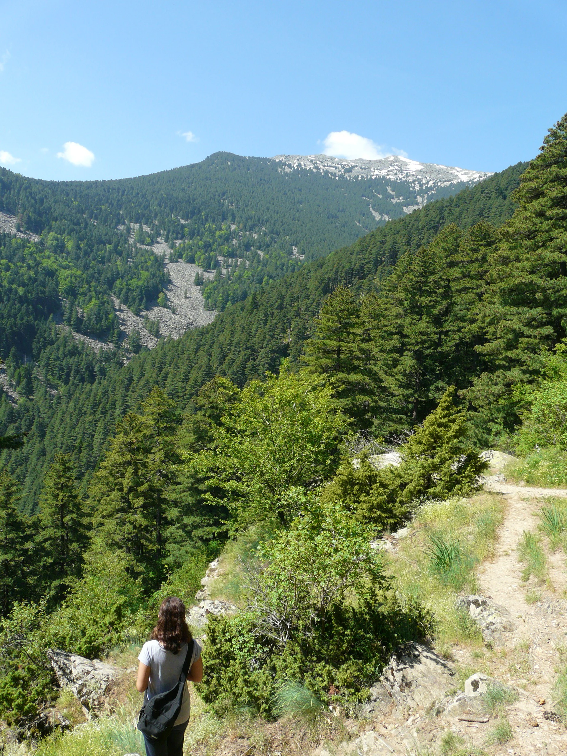 Hiker walking on a dirt trail in a mountainous forest area with distant peaks under a blue sky