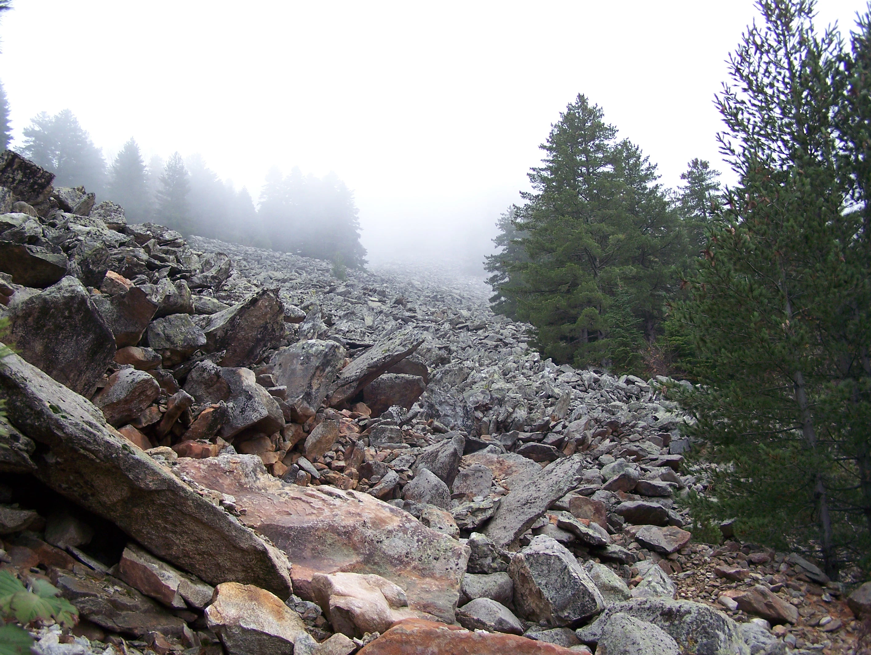 Foggy mountain slope covered with large rocks and boulders, with coniferous trees on the right and misty forest in the background