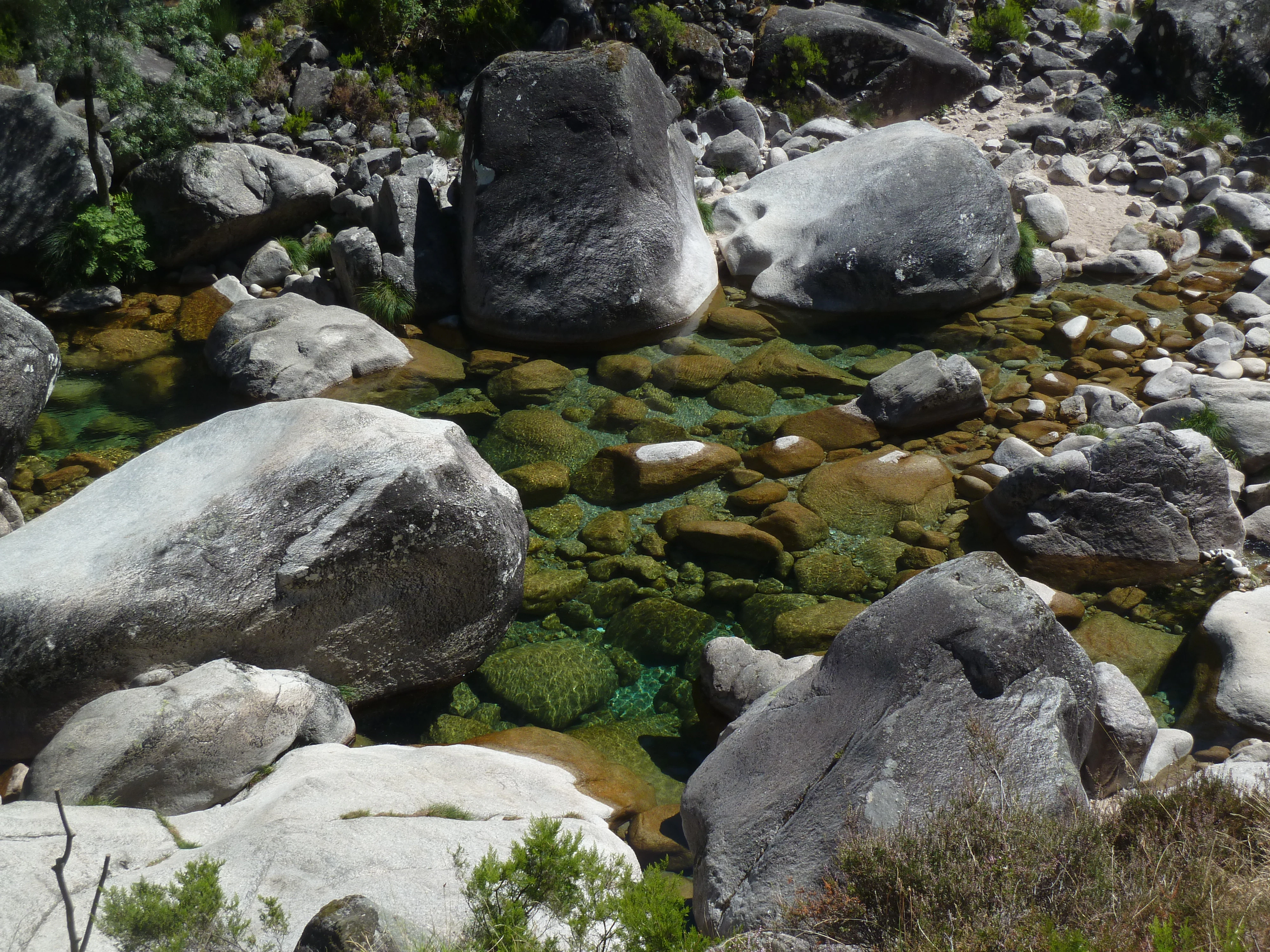 A clear mountain stream flowing between large boulders with green moss and vegetation