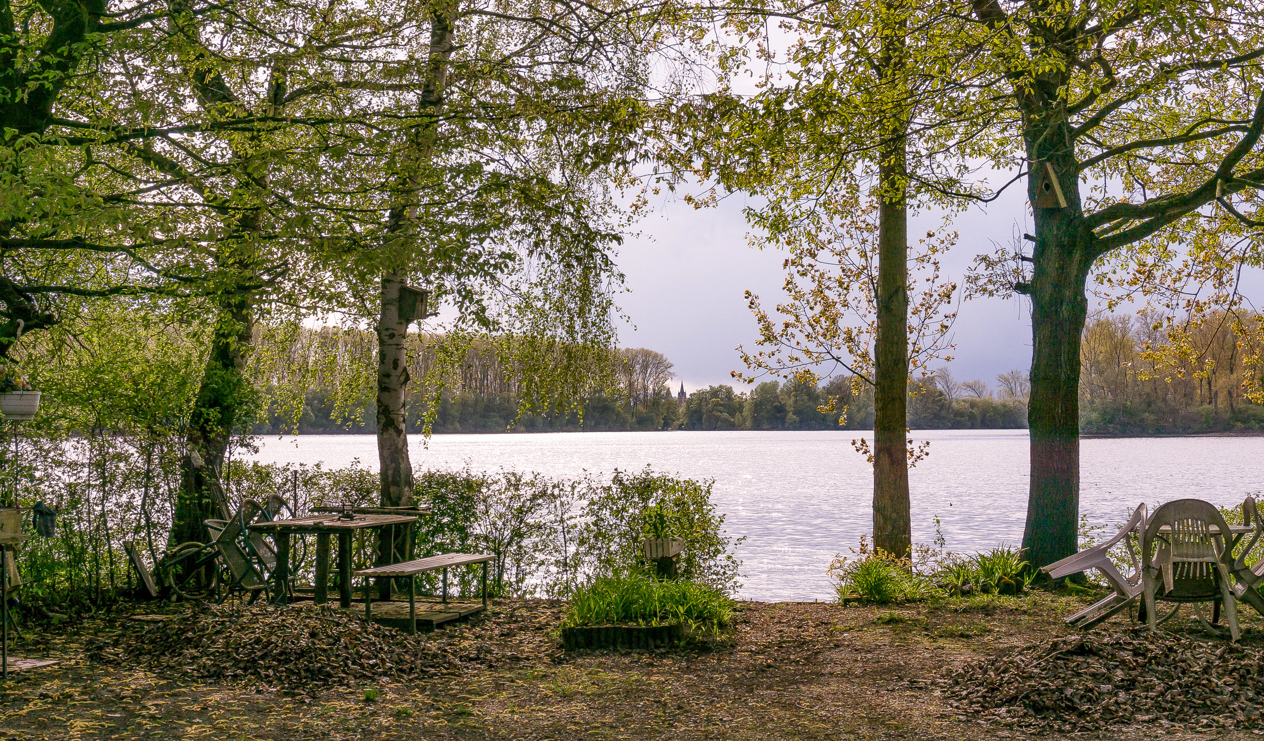A waterside scene with a picnic table and outdoor seating beneath trees, looking out over the Otterstadt Old Rhine in Germany.