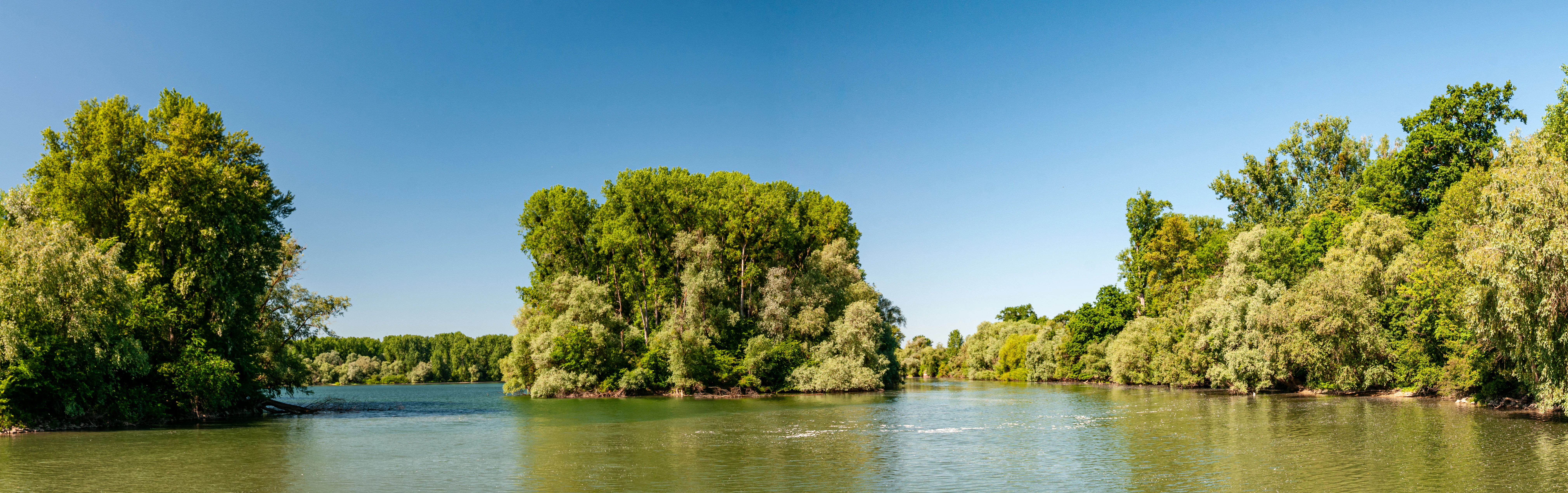 A wide panoramic view of a calm river surrounded by dense green forest foliage under a clear blue sky.