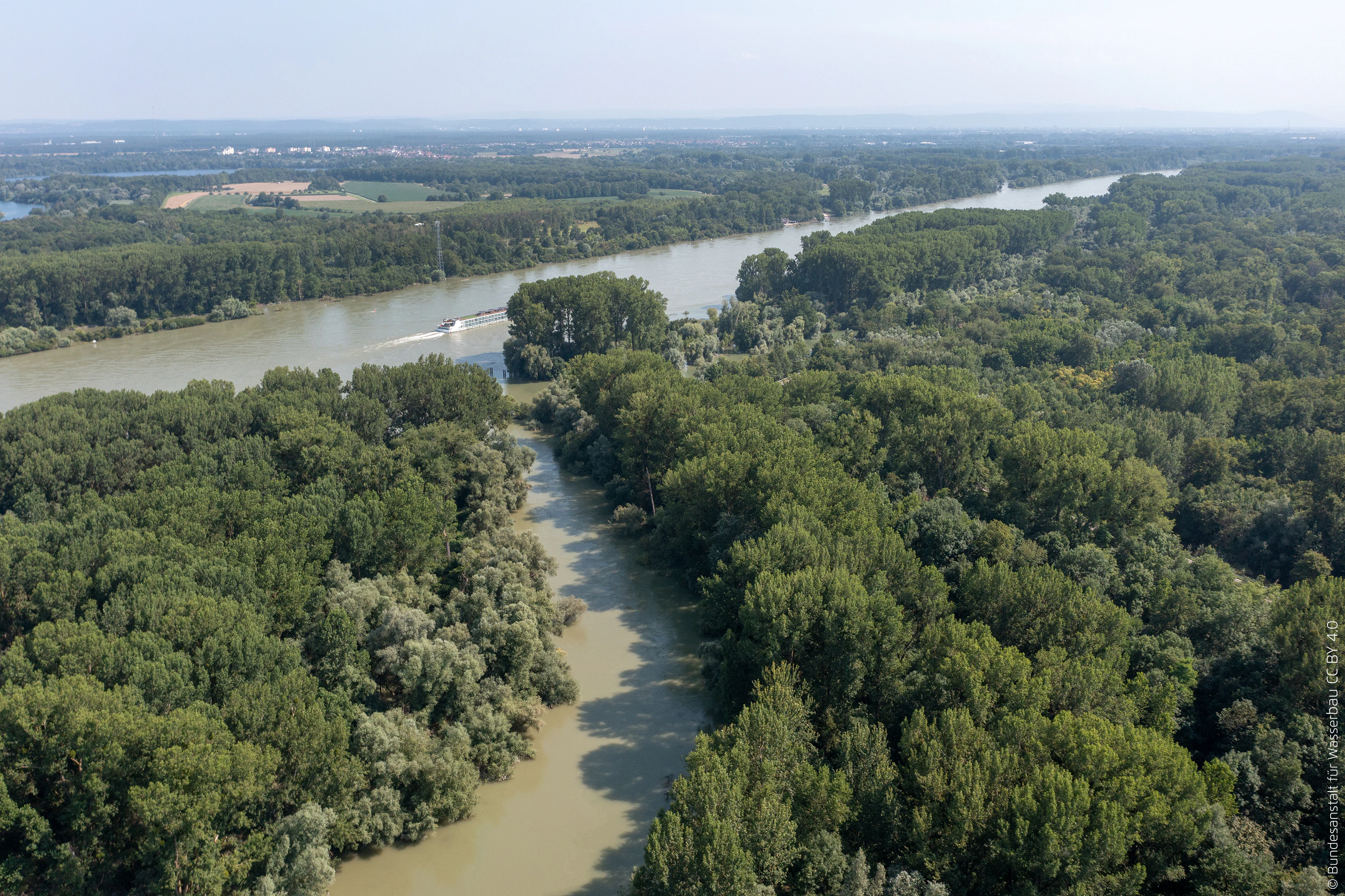 An aerial perspective of the Rhine river winding through dense, green floodplain forests in Germany.