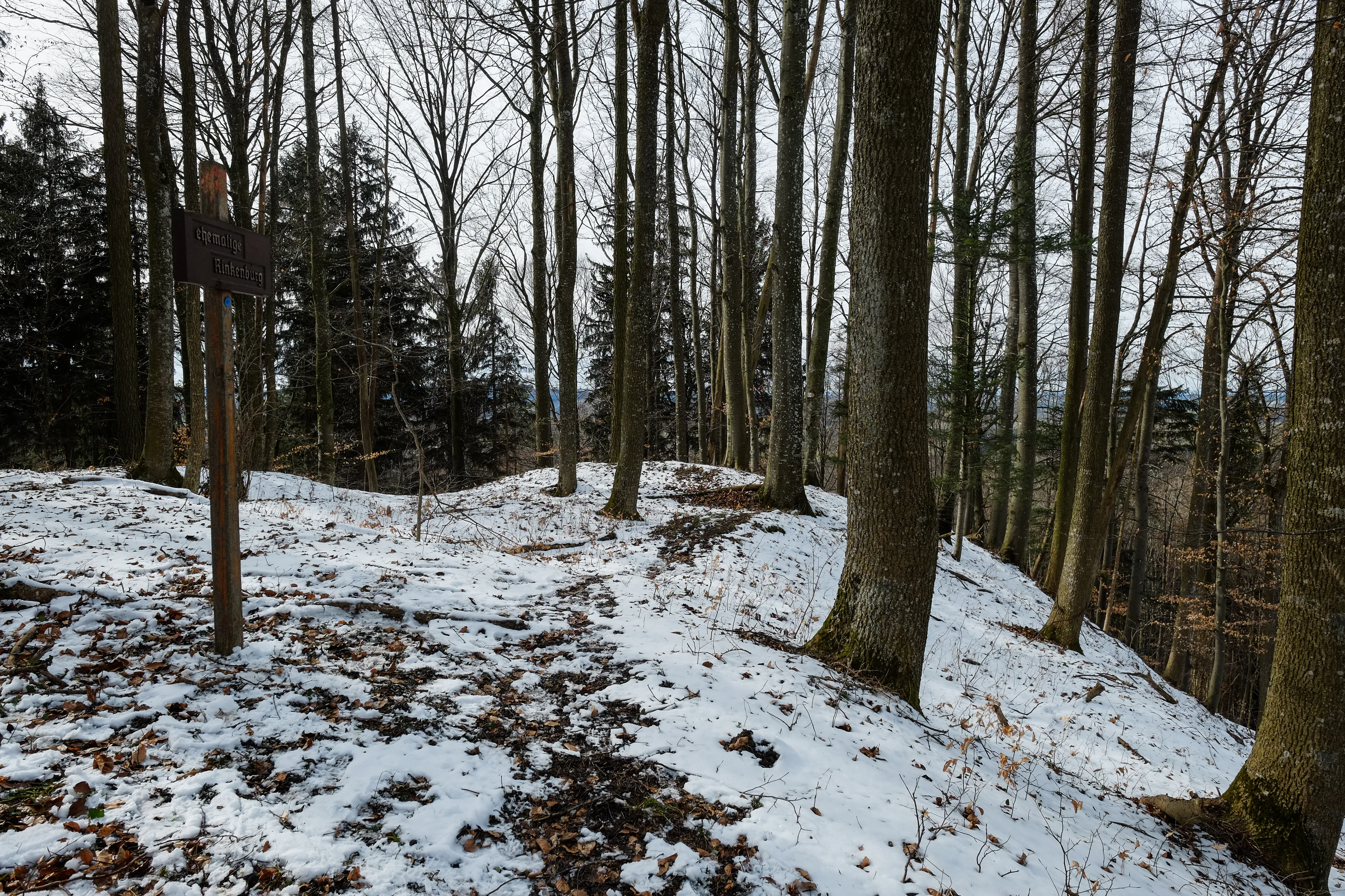 A snowy, sparse woodland with bare trees on a gentle slope, showing signs of a historical earthwork or site, with a wooden signpost on the left.