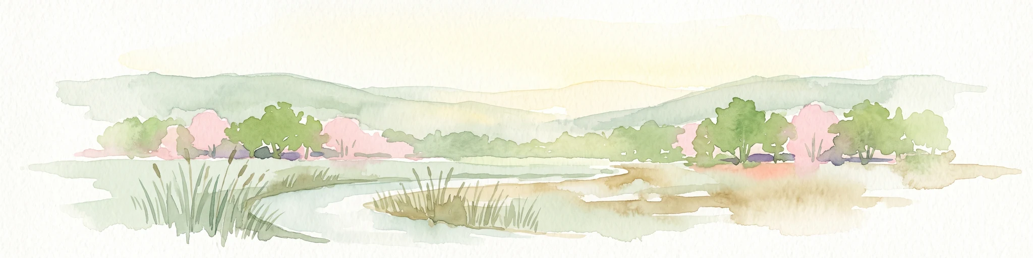 A watercolor landscape illustration showing a winding stream, marsh grasses, and trees with soft rolling hills in the background, set against a pale background.
