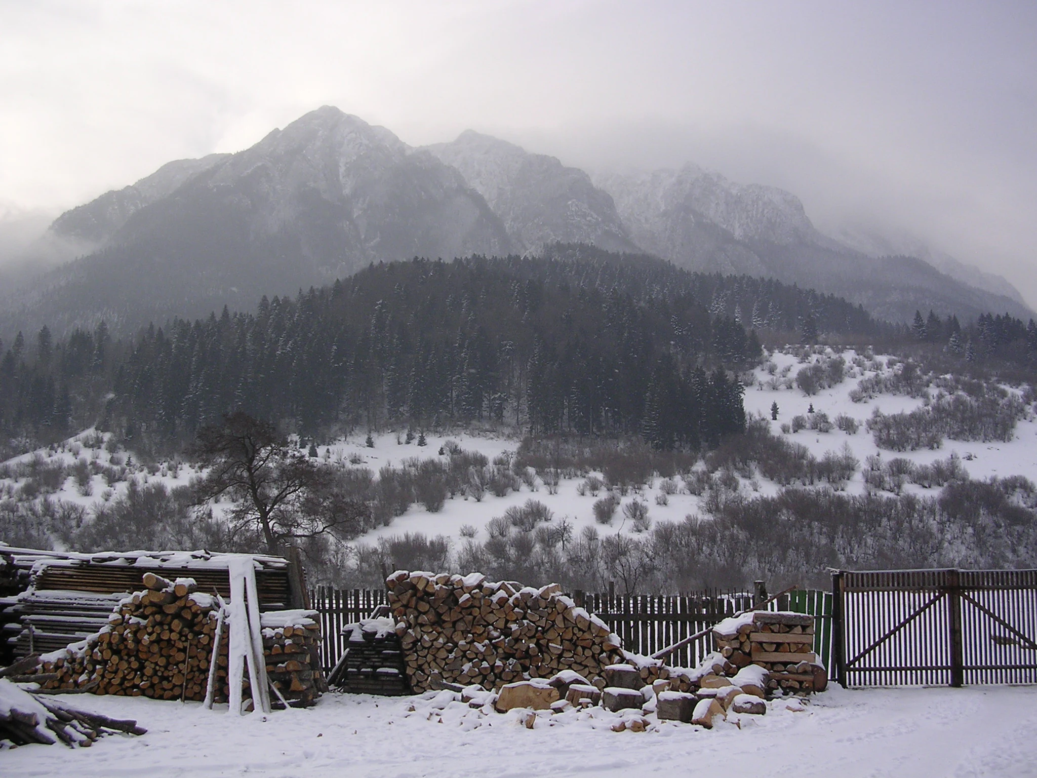 Snow-covered ground with stacked firewood piles, a wooden gate, and snow-capped mountains in the background with forested slopes