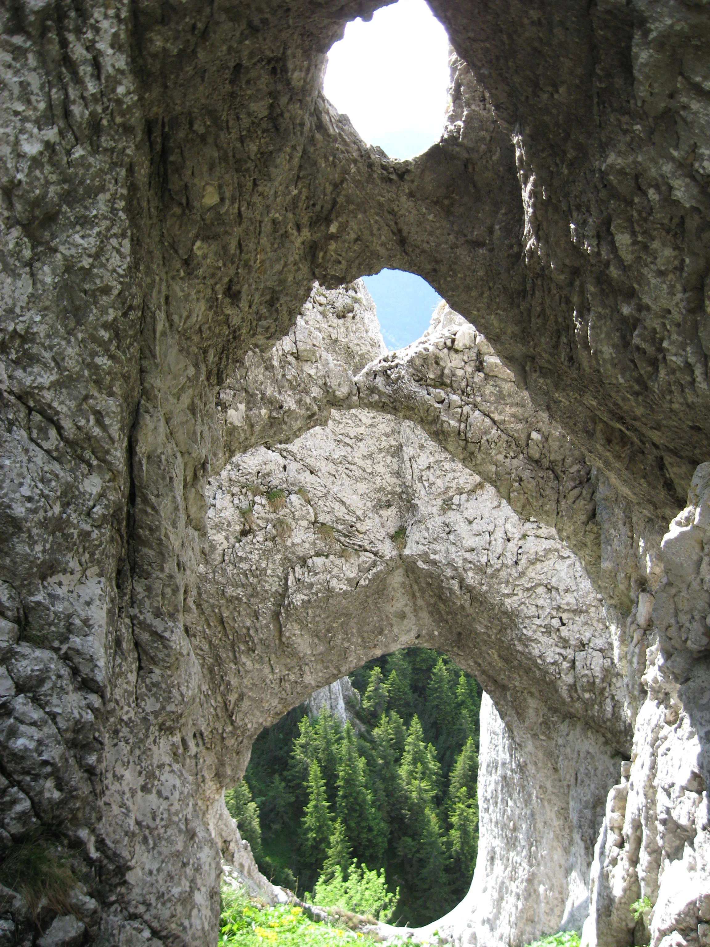Rock arch formation with multiple openings, revealing forested valley and sky through the stone