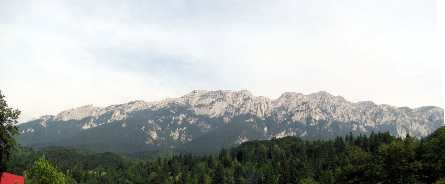 Panoramic view of rocky mountain peaks with dense green forest in the foreground under a partly cloudy sky