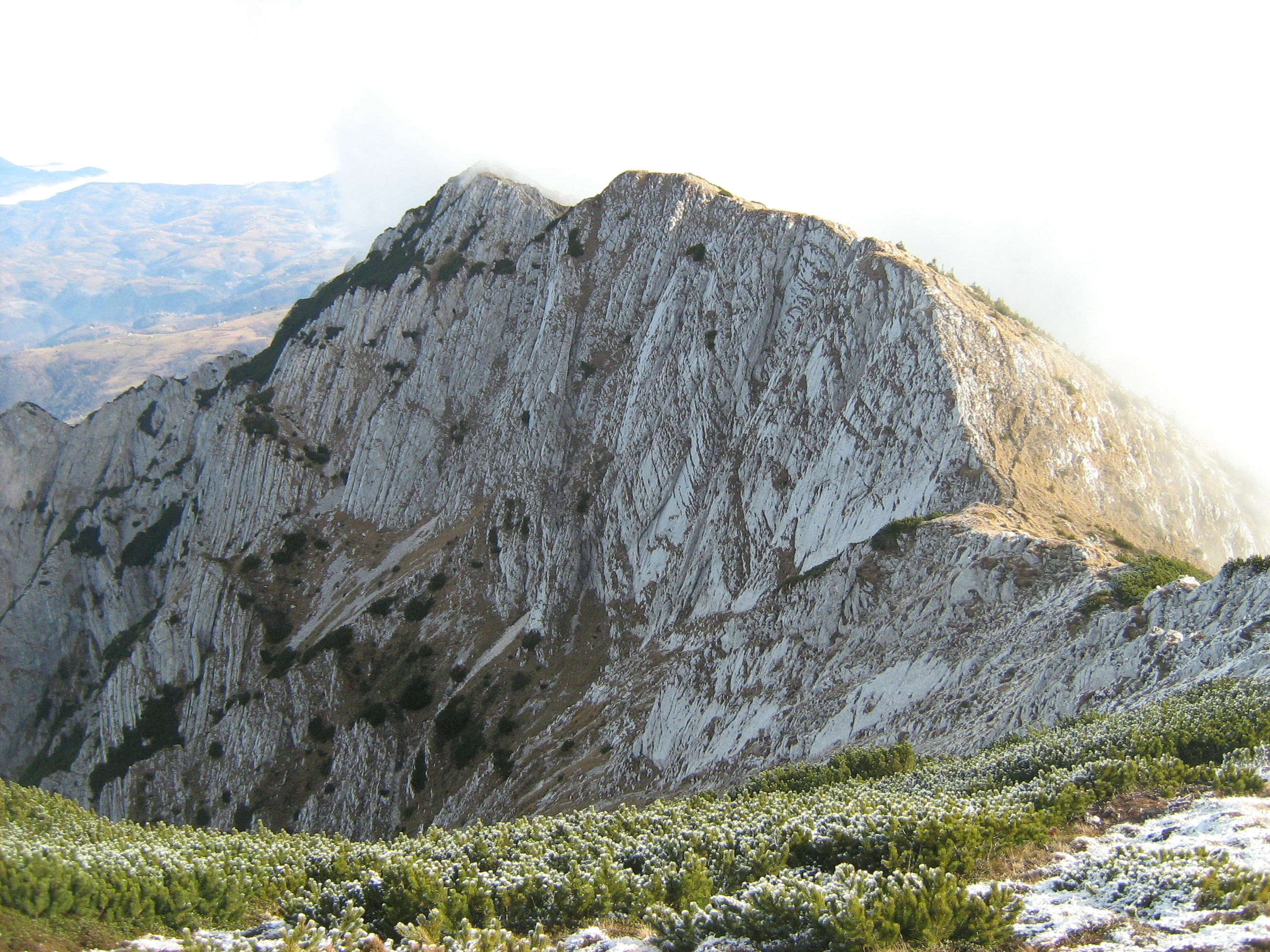 Steep rocky mountain face with patches of snow and low-lying green vegetation in the foreground