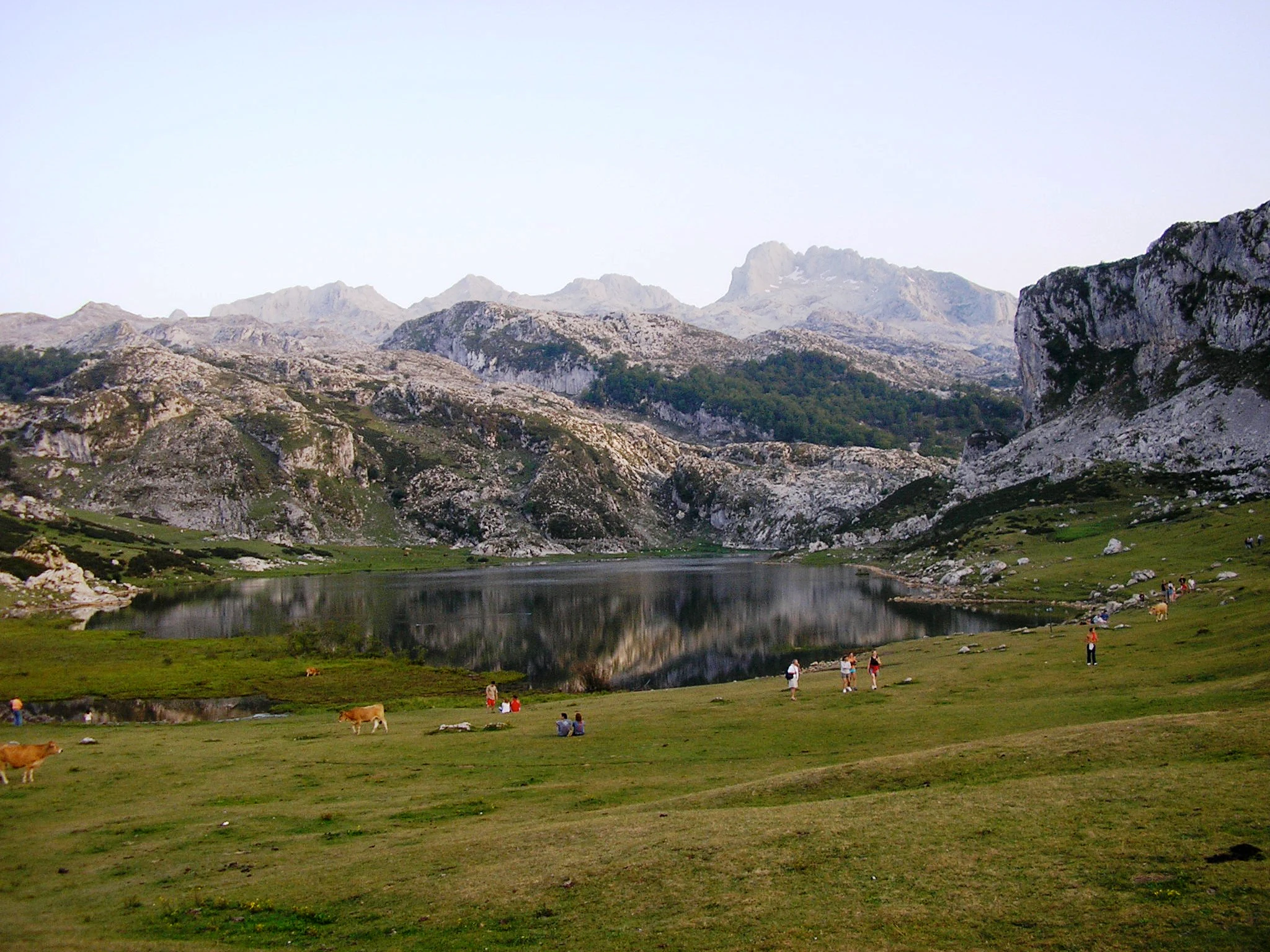 A reflective lake surrounded by grassy fields with mountain peaks in the background and people and cattle in the foreground