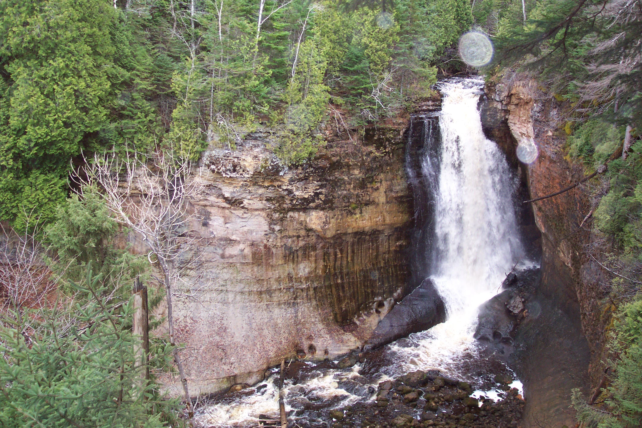 Una cascada fluye por un acantilado vertical de arenisca, rodeada de un denso follaje de bosque verde.