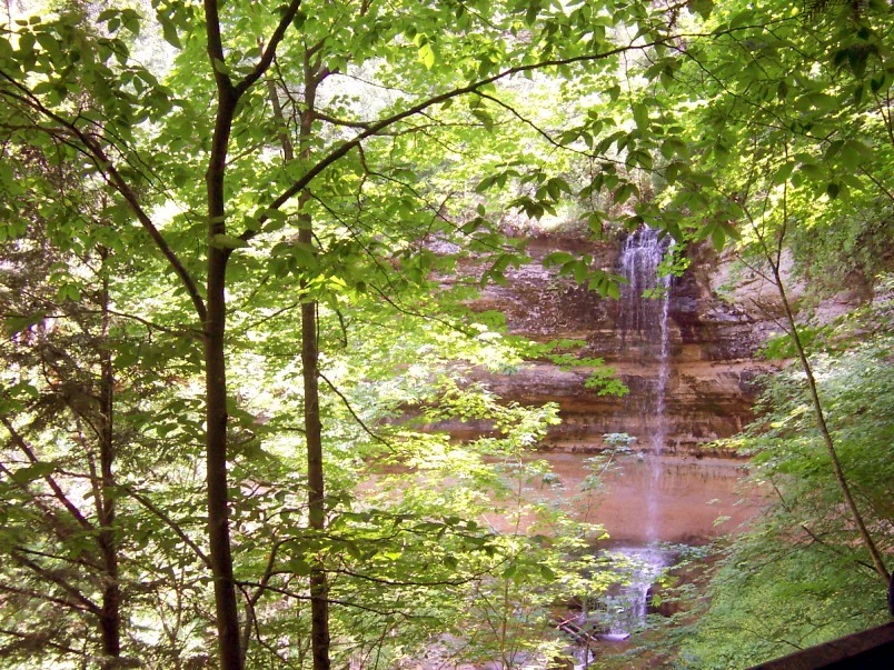 Una cascada fina fluye sobre un acantilado de arenisca en capas, enmarcada por frondosos árboles de bosque verde en primer plano.
