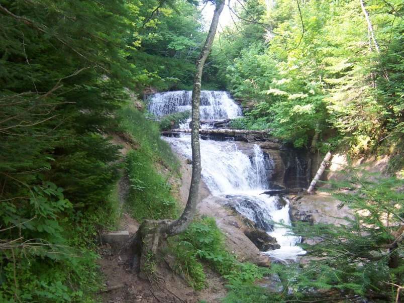 Una cascada de varios niveles se precipita por escalones rocosos en un claro del bosque, rodeada de árboles verdes y follaje.