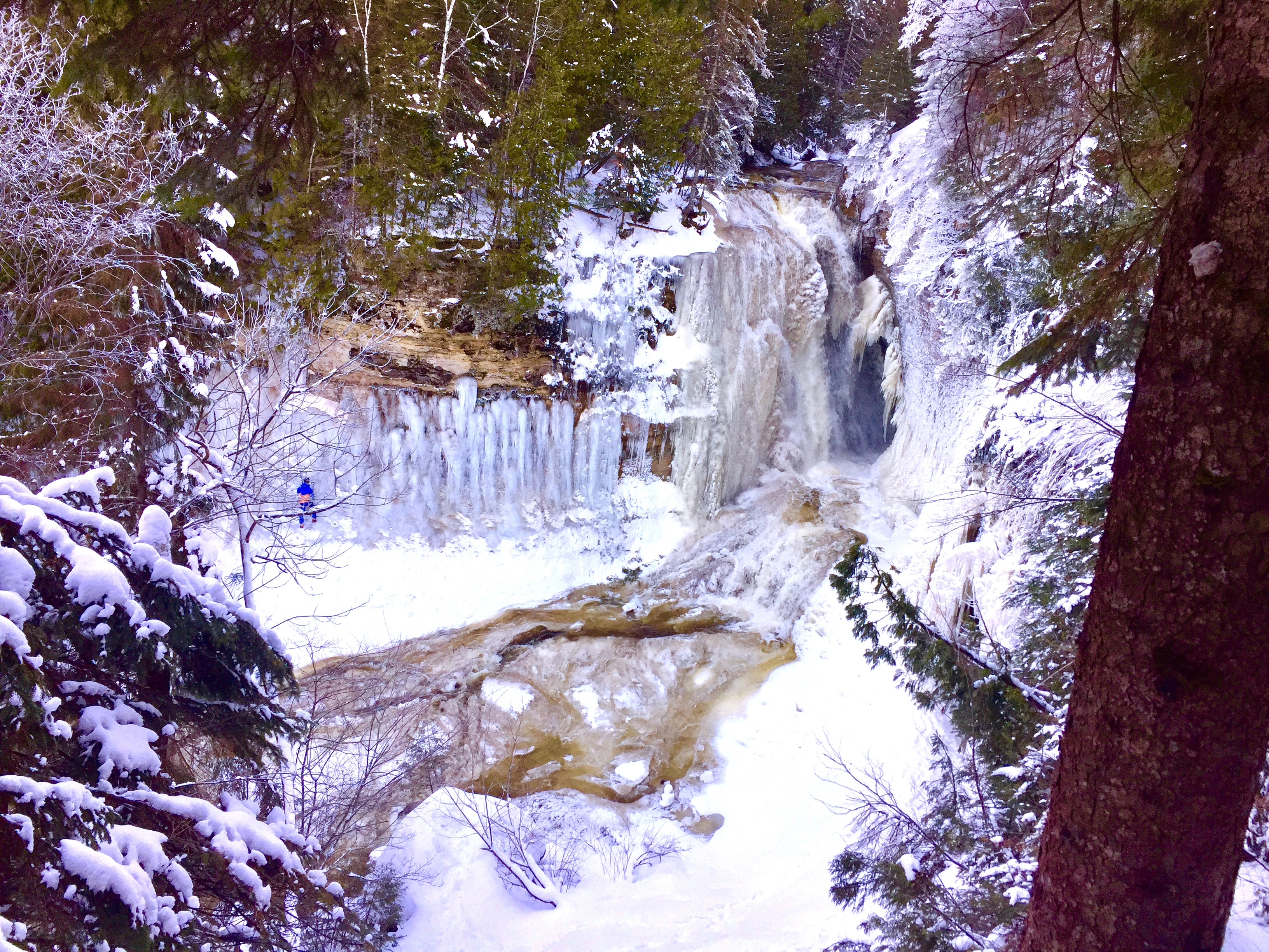 Un pequeño escalador de hielo con equipo azul es visible en una gran pared de hielo junto a una cascada parcialmente congelada, rodeada de árboles cubiertos de nieve.