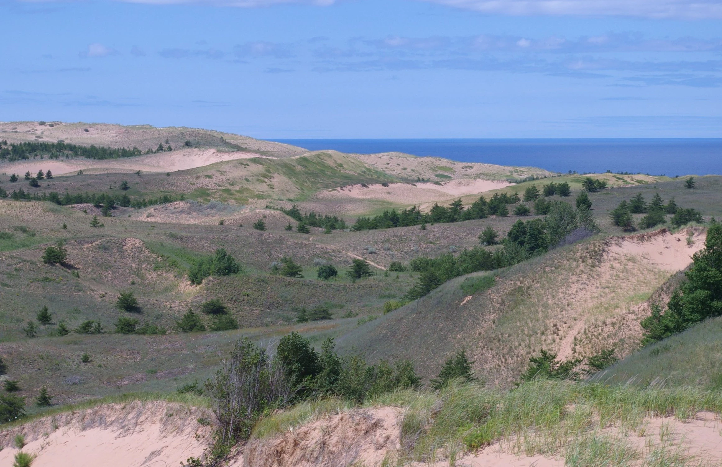 Una vista amplia y elevada de dunas onduladas cubiertas de parches de hierba y árboles coníferos dispersos, que conducen hacia un lago azul lejano.