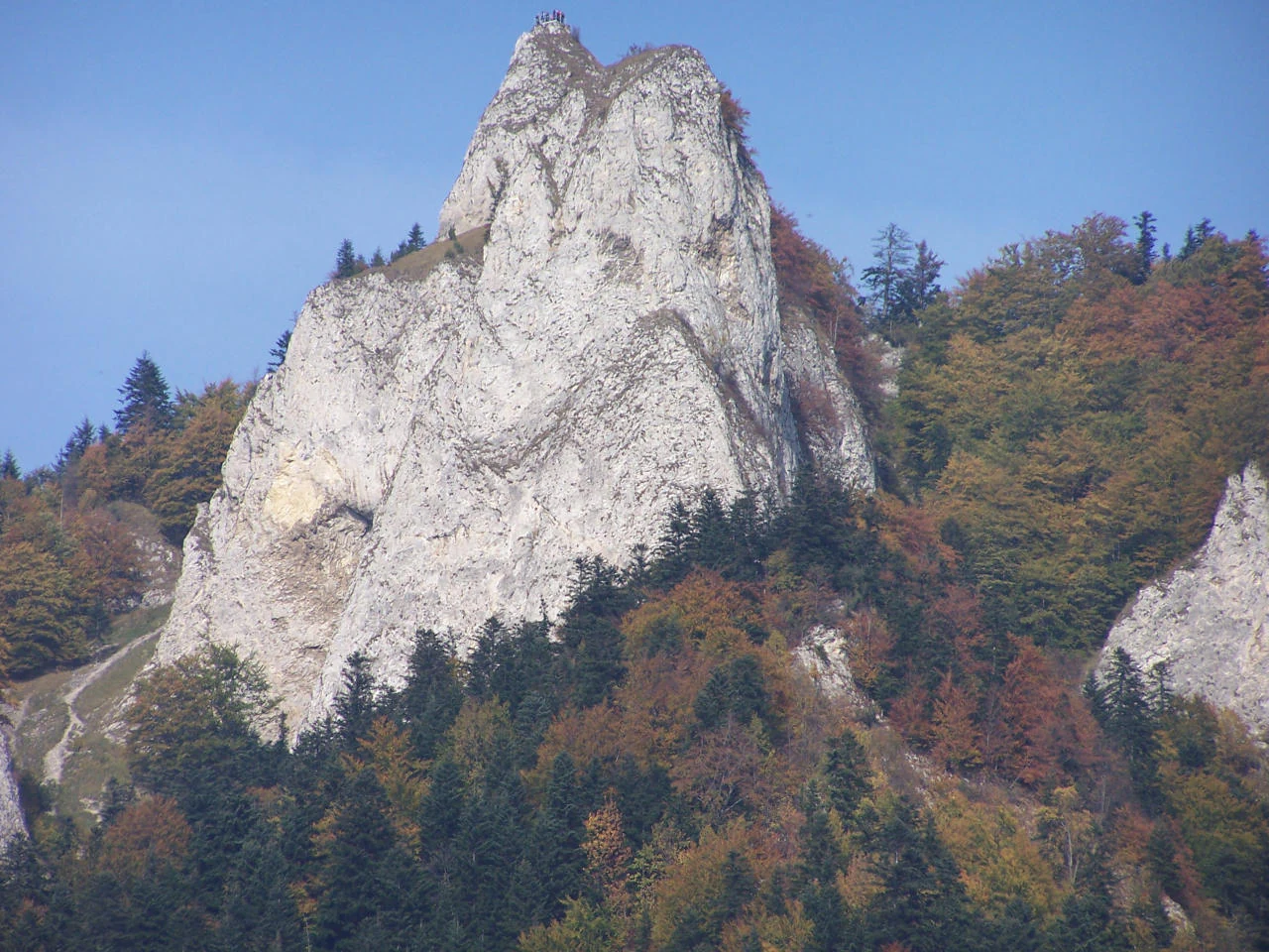 Una aguda y clara cumbre de piedra caliza conocida como Trzy Korony se alza contra un cielo azul despejado, rodeada de densos bosques con follaje otoñal.