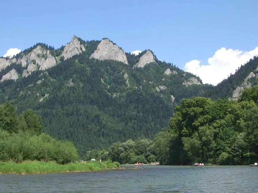Calm river with lush green forests and rocky mountain peaks under a clear blue sky