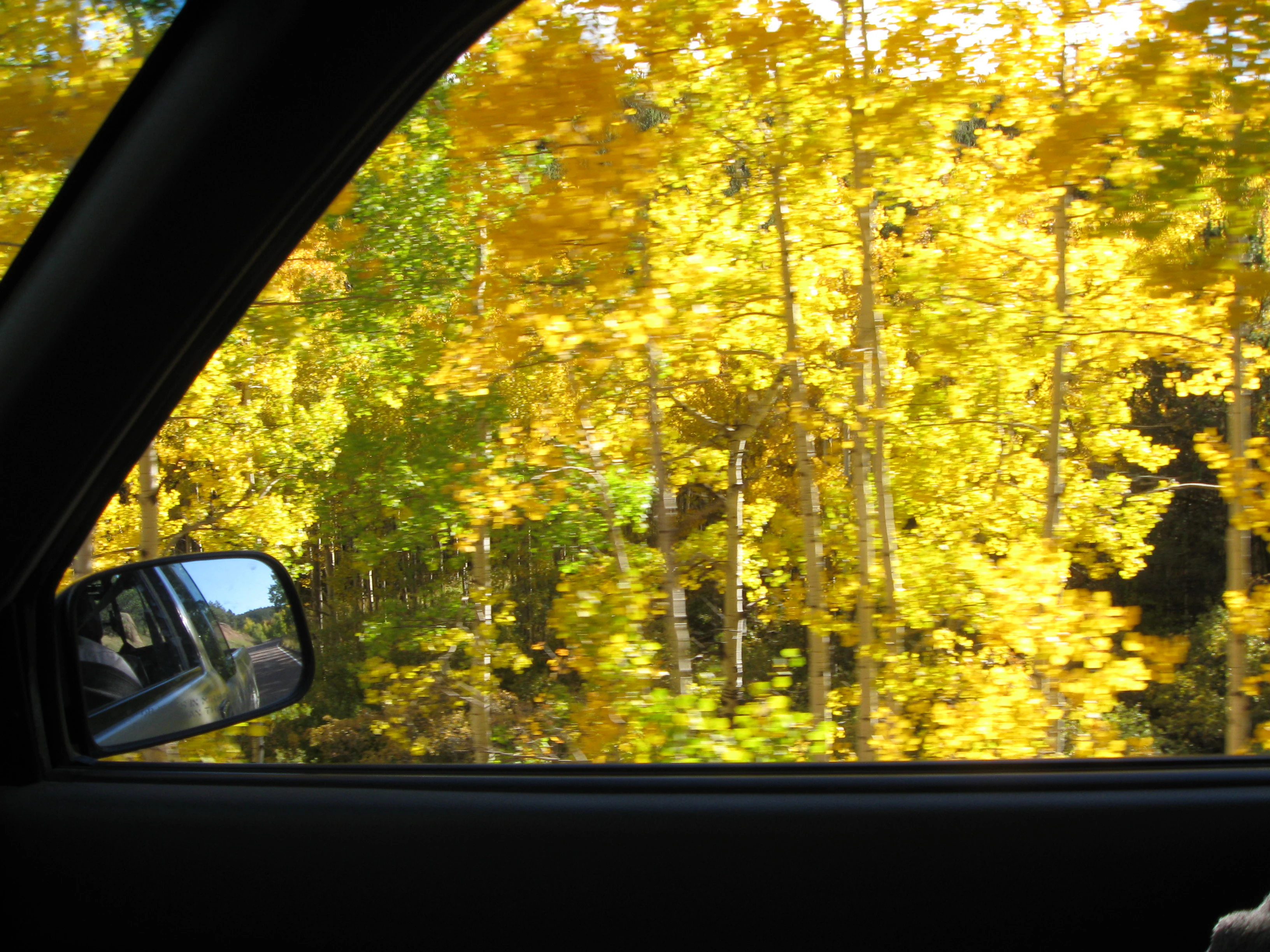 A view through a car side window of golden aspen trees in autumn, with the vehicle side mirror visible in the foreground.