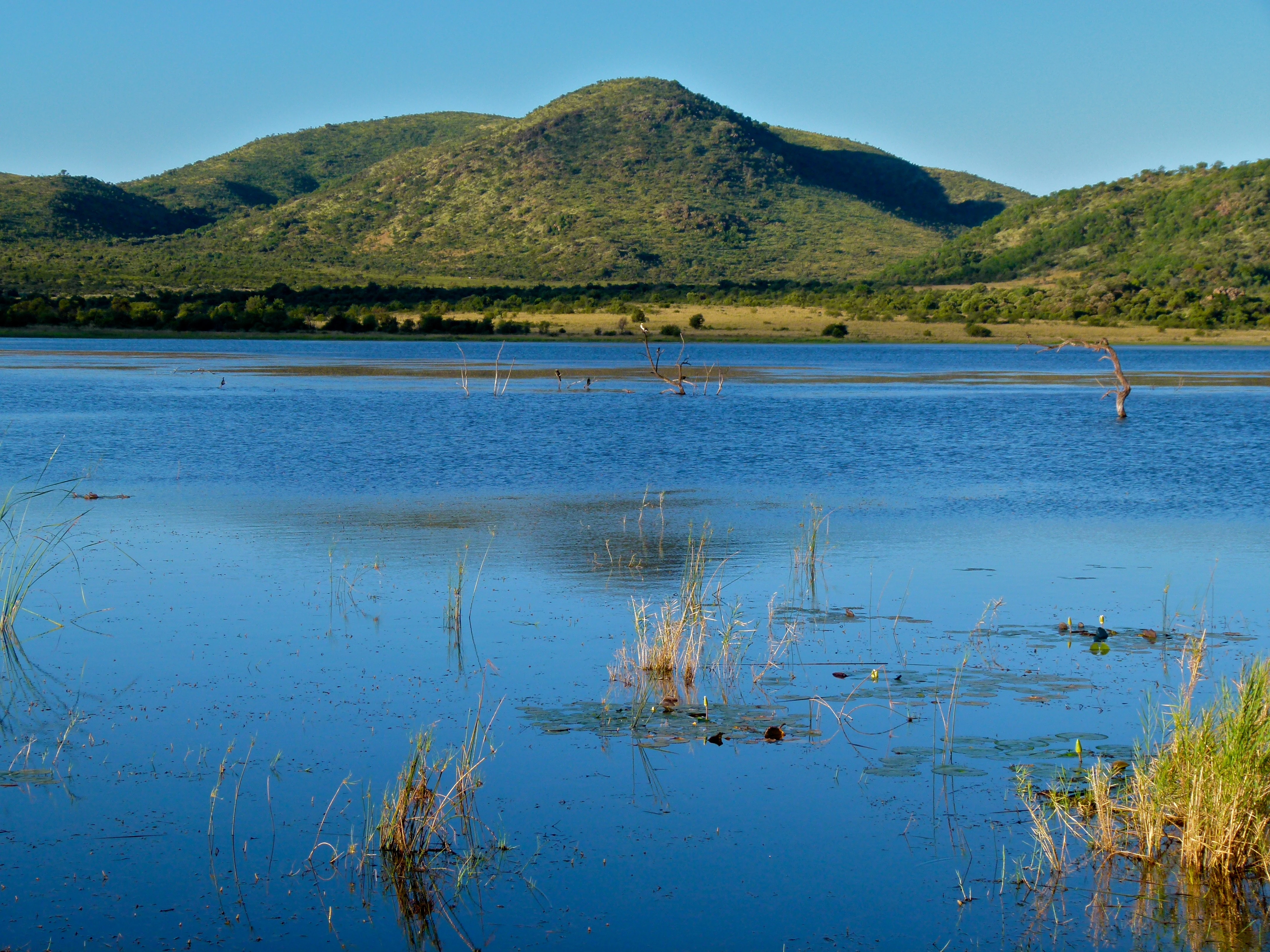 A wide, calm blue dam with sparse aquatic vegetation in the foreground and rounded, green, volcanic hills rising in the distance under a clear blue sky.