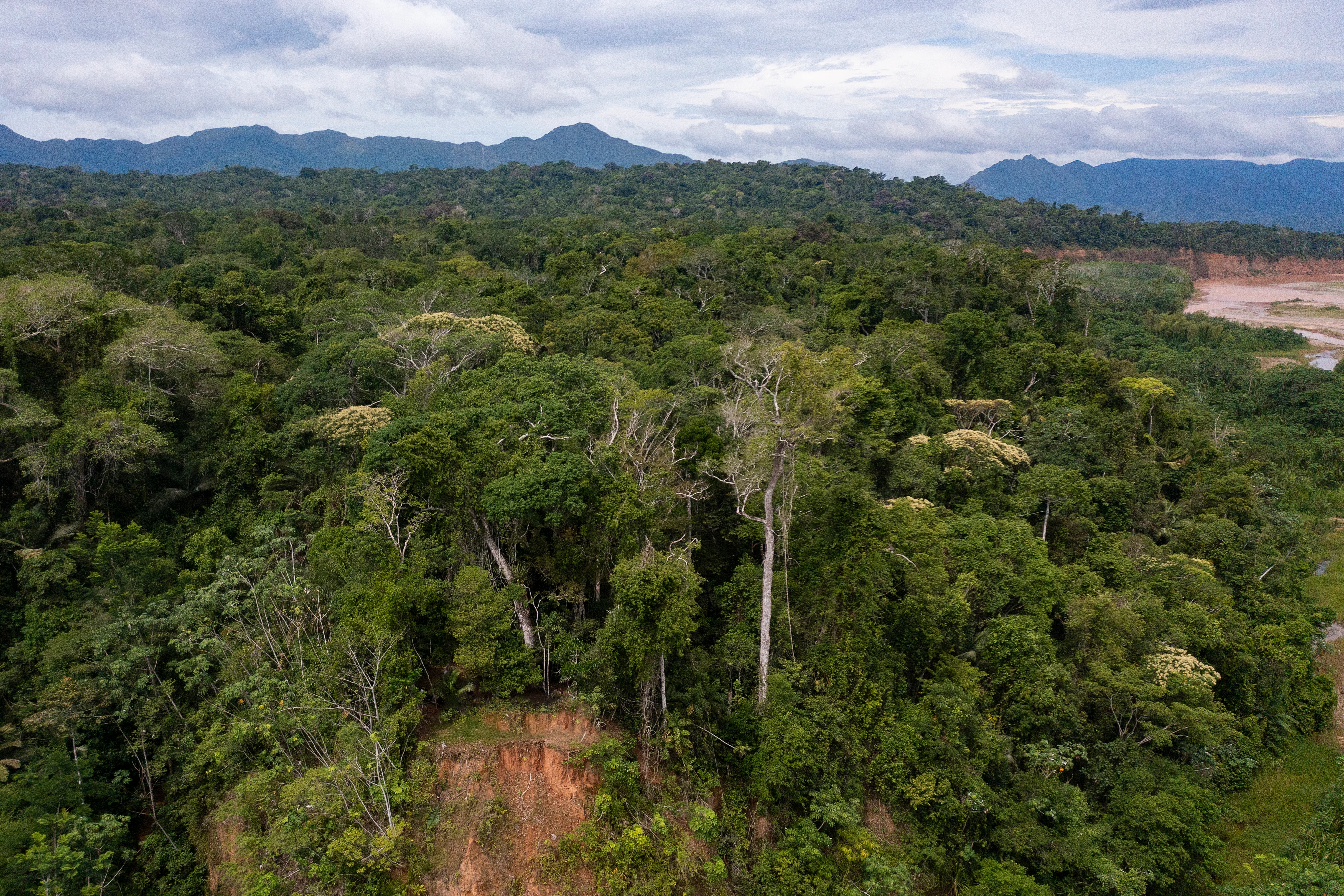 An aerial shot of a dense green rainforest canopy with a river bend visible on the right and distant blue mountain ridges under a cloudy sky.