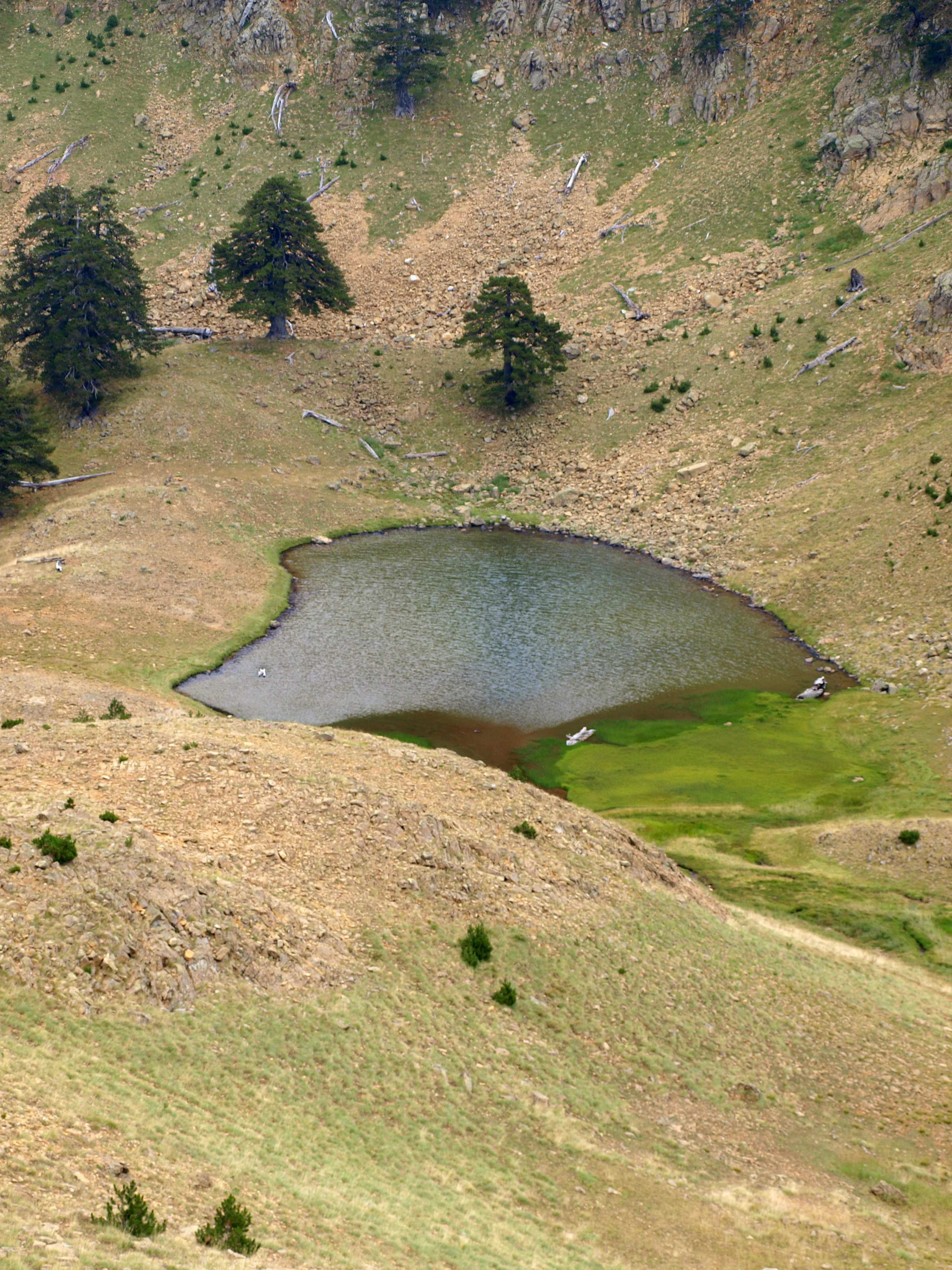 Mountain lake surrounded by grassy hills and scattered trees in Pindus National Park