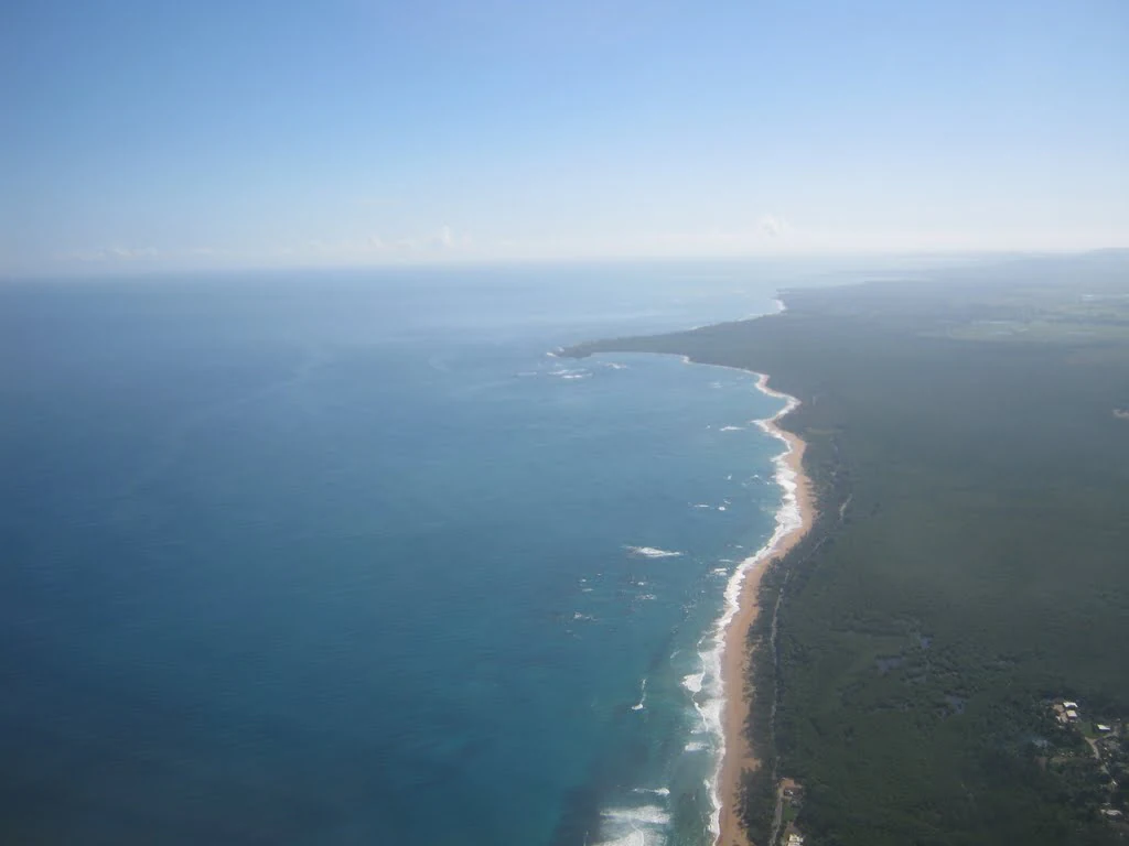 Vista aérea de una costa larga y estrecha con vegetación verde oscuro y densa a la derecha y el océano azul profundo a la izquierda.