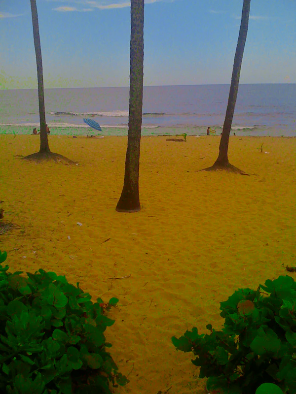 Tres altas palmeras se alzan en una playa de arena mirando hacia el océano, con pequeñas figuras y una sombrilla azul visibles a lo lejos.