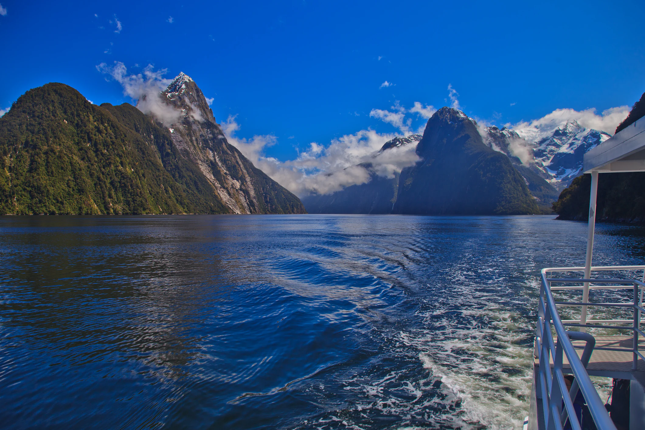 Cruise on Milford Sound