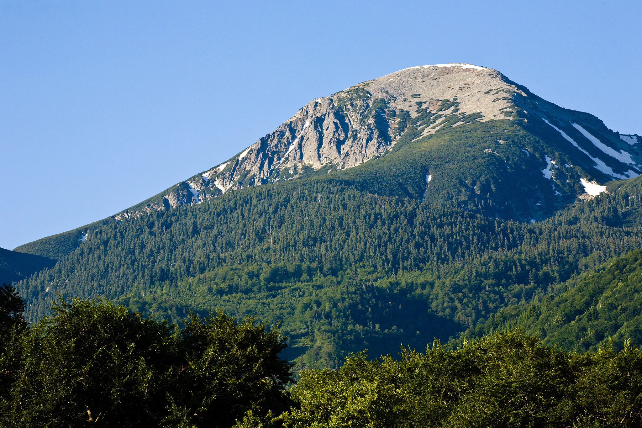 Mountain peak with snow patches and forested slopes under clear blue sky