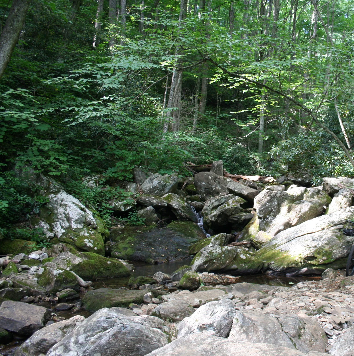 A small stream flows through a rocky, forested area, typical of a mountain trail crossing.